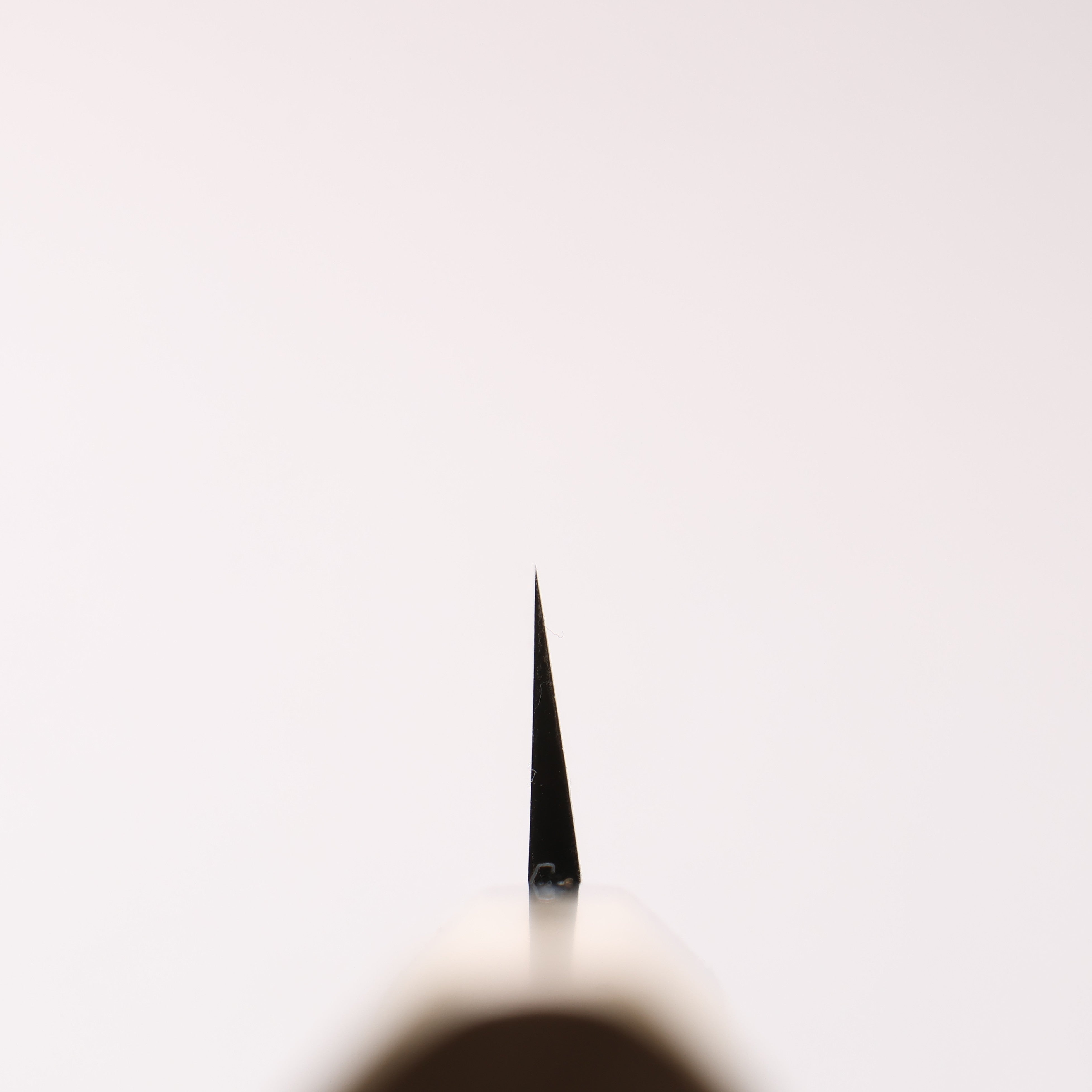 Seisuke [Left Handed] Molybdenum Kasumitogi Yanagiba 240mm