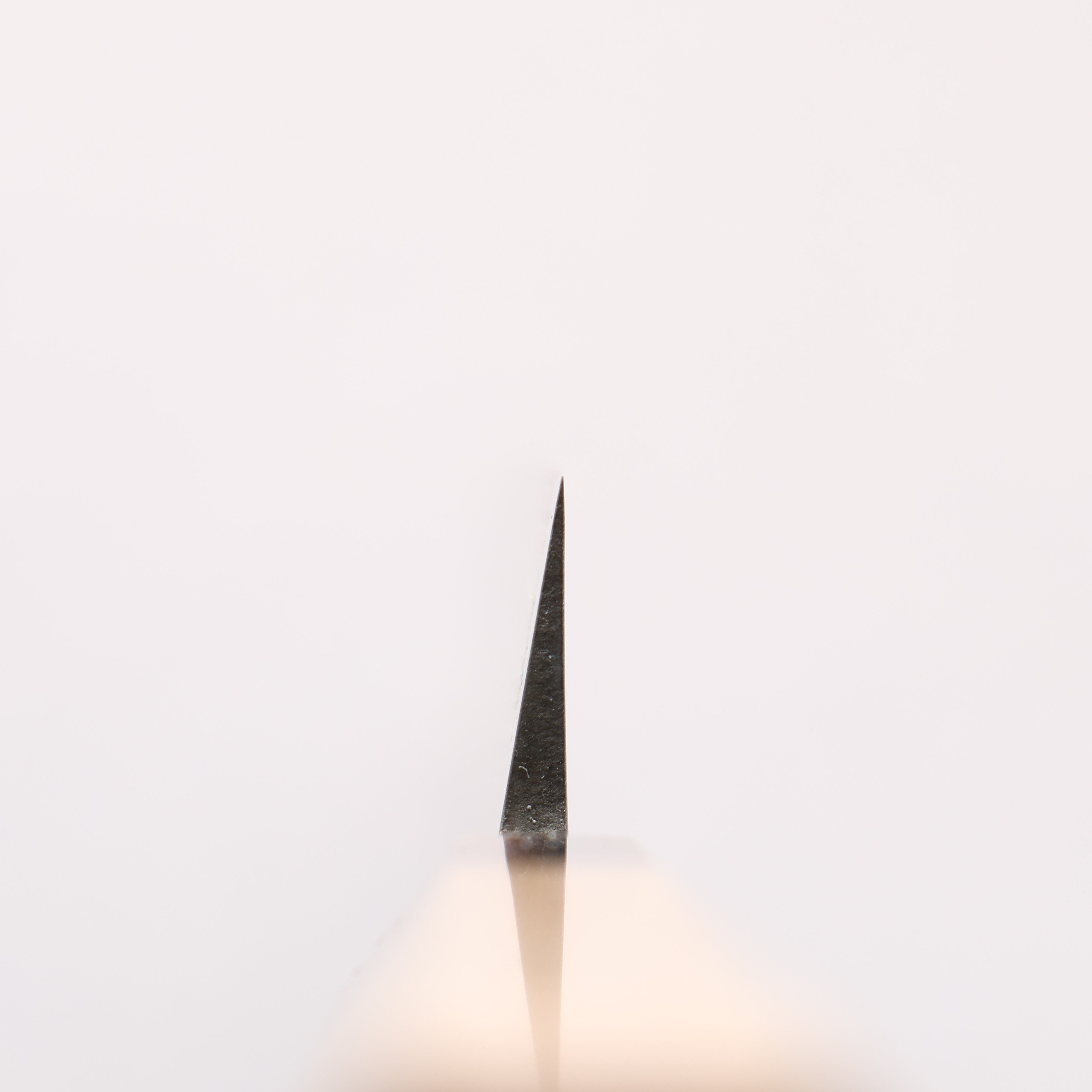 Seisuke AUS8 Yanagiba 270mm Magnolia (Ferrule: Striped Ebony) Handle Sushi School Model