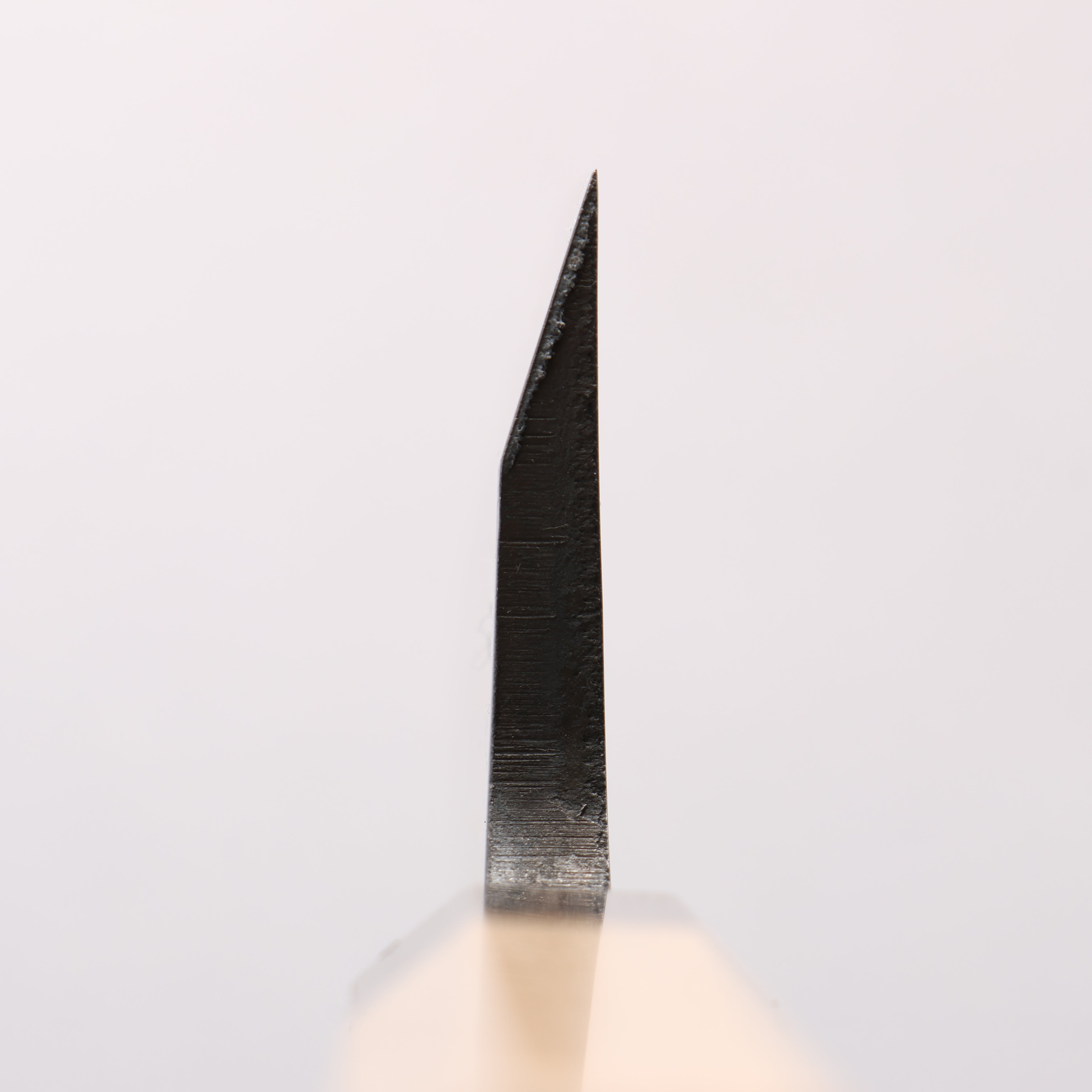Seisuke AUS8 Deba 165mm Magnolia (Ferrule: Striped Ebony) Handle Sushi School Model