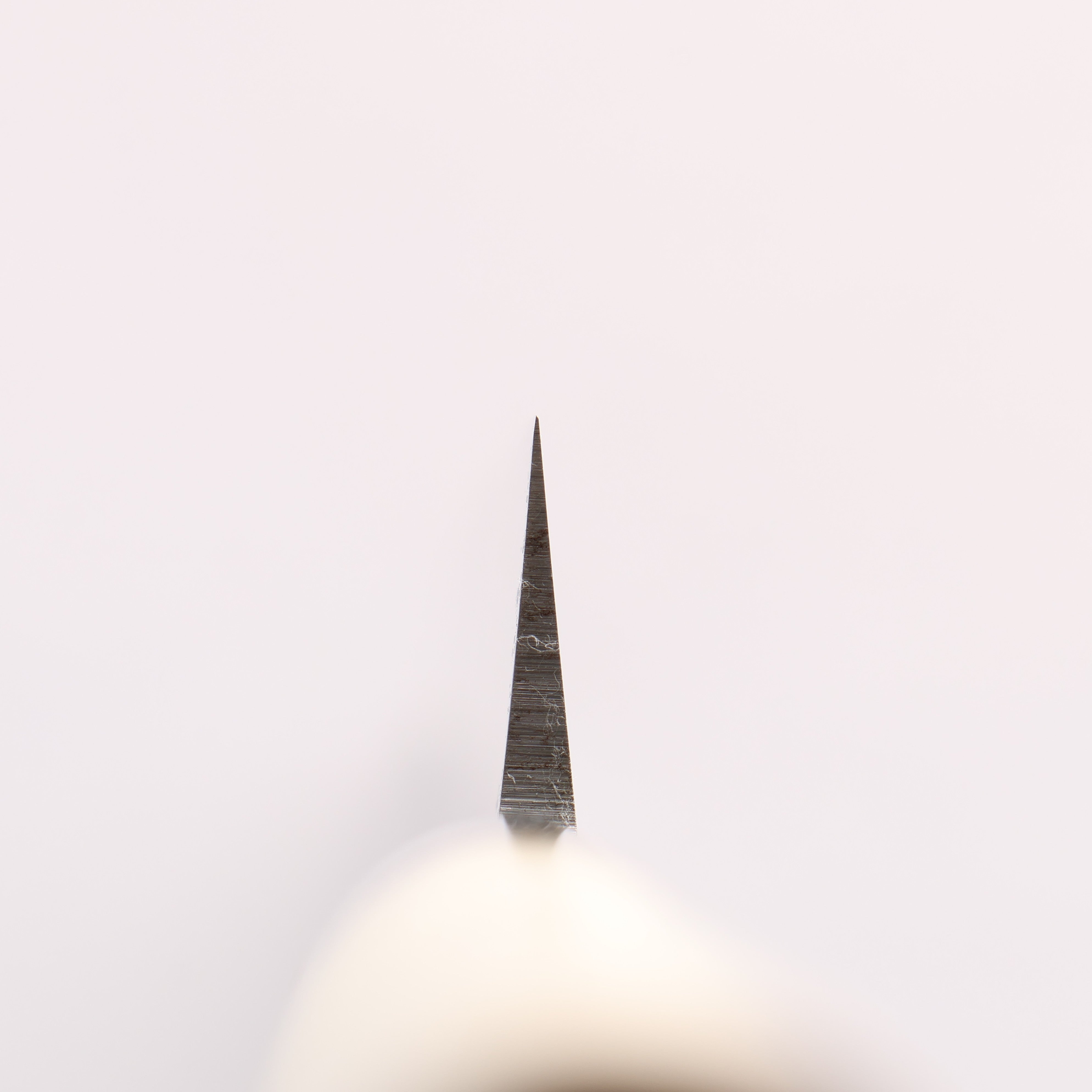 Sakai Takayuki [Left Handed] Kasumitogi White Steel Yanagiba Magnolia Handle - Japanny - Best Japanese Knife