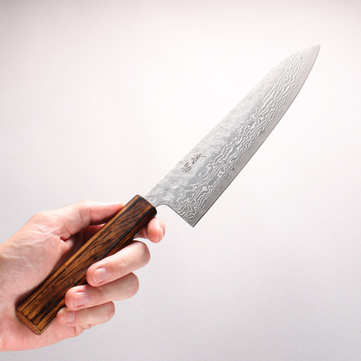 Seisuke Stainless Steel 440C Hammered Damascus Matte Gyuto 240mm Burnt Oak Handle