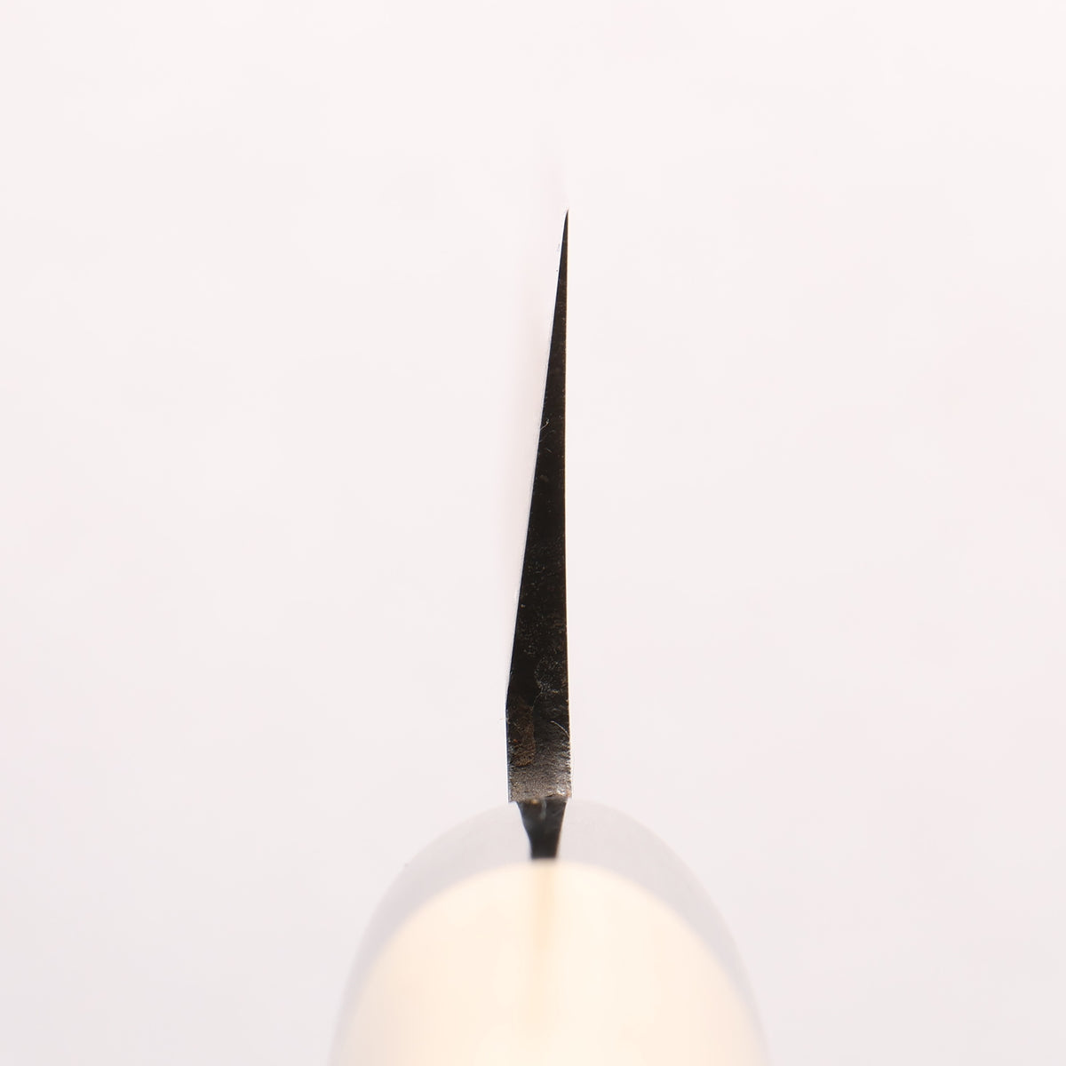 Seisuke SK-4 Usuba 210mm Magnolia Handle Sushi School Model