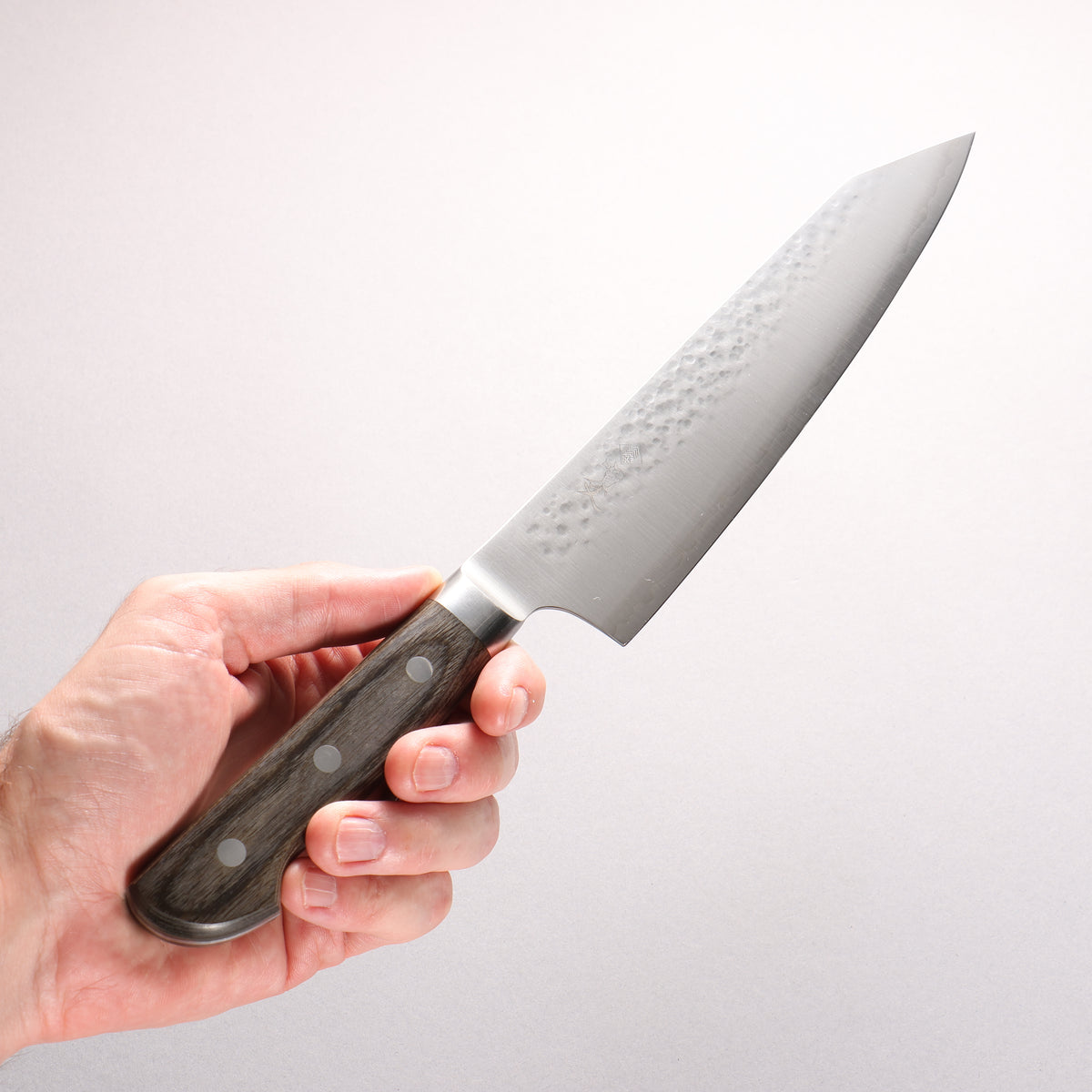 Kanjyo SG2 Hammered Kiritsuke Gyuto 210mm Gray Pakka wood Handle