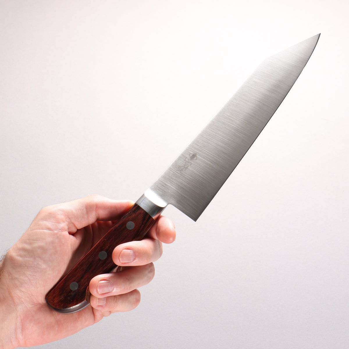 Kanjyo VG10 Kiritsuke Gyuto 210mm Mahogany Pakka wood Handle