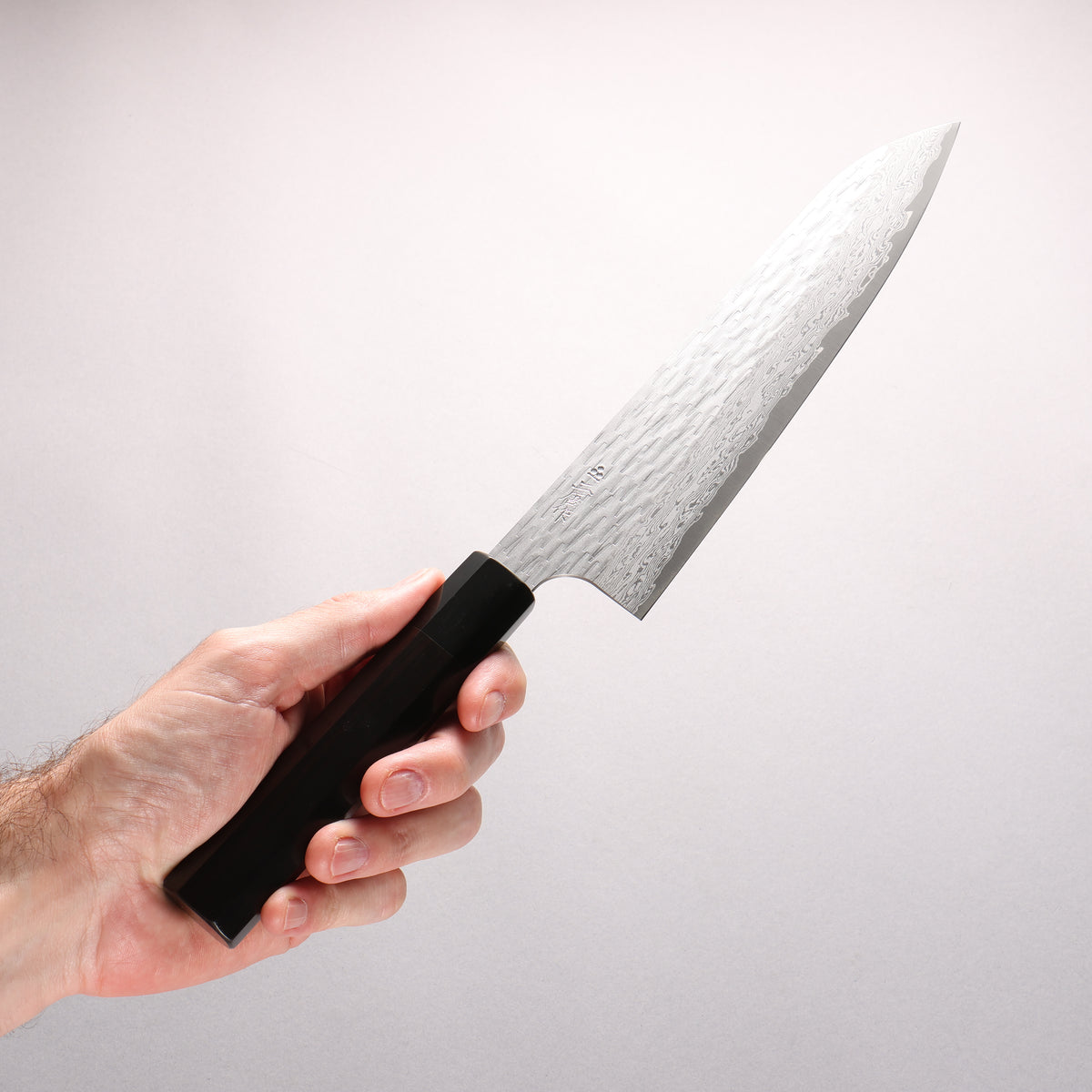 Nigara VG-XEOS Hammered Damascus Gyuto 225mm Ebony Wood (ferrule: Black Water Buffalo Horn) Handle