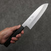 Kagekiyo Silver Steel No.3 Santoku  180mm Black Lacquered (Magnolia) Handle - Japanny - Best Japanese Knife