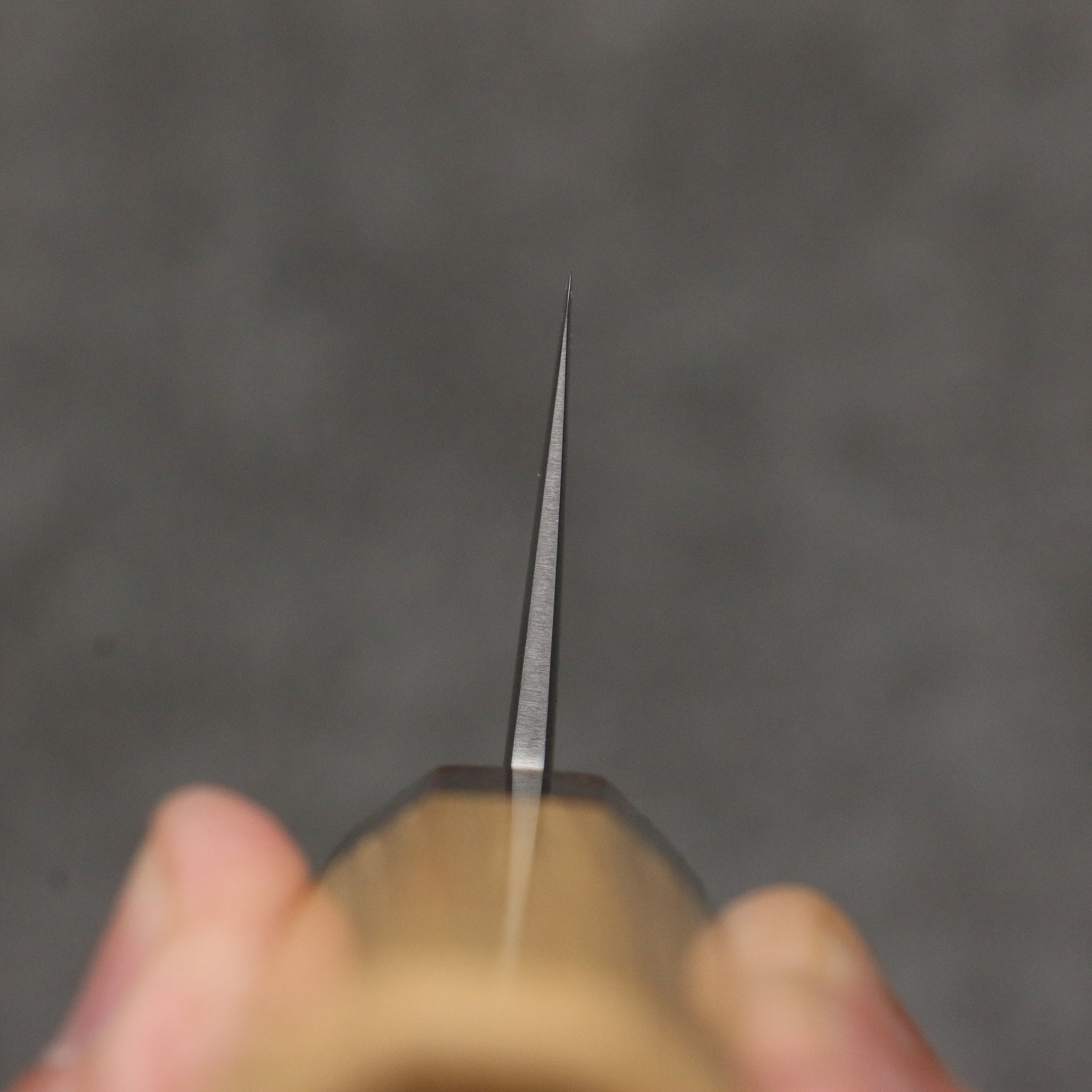 Oul White Steel No.1 Gyuto  210mm Keyaki (Japanese Elm) Handle - Japanny - Best Japanese Knife