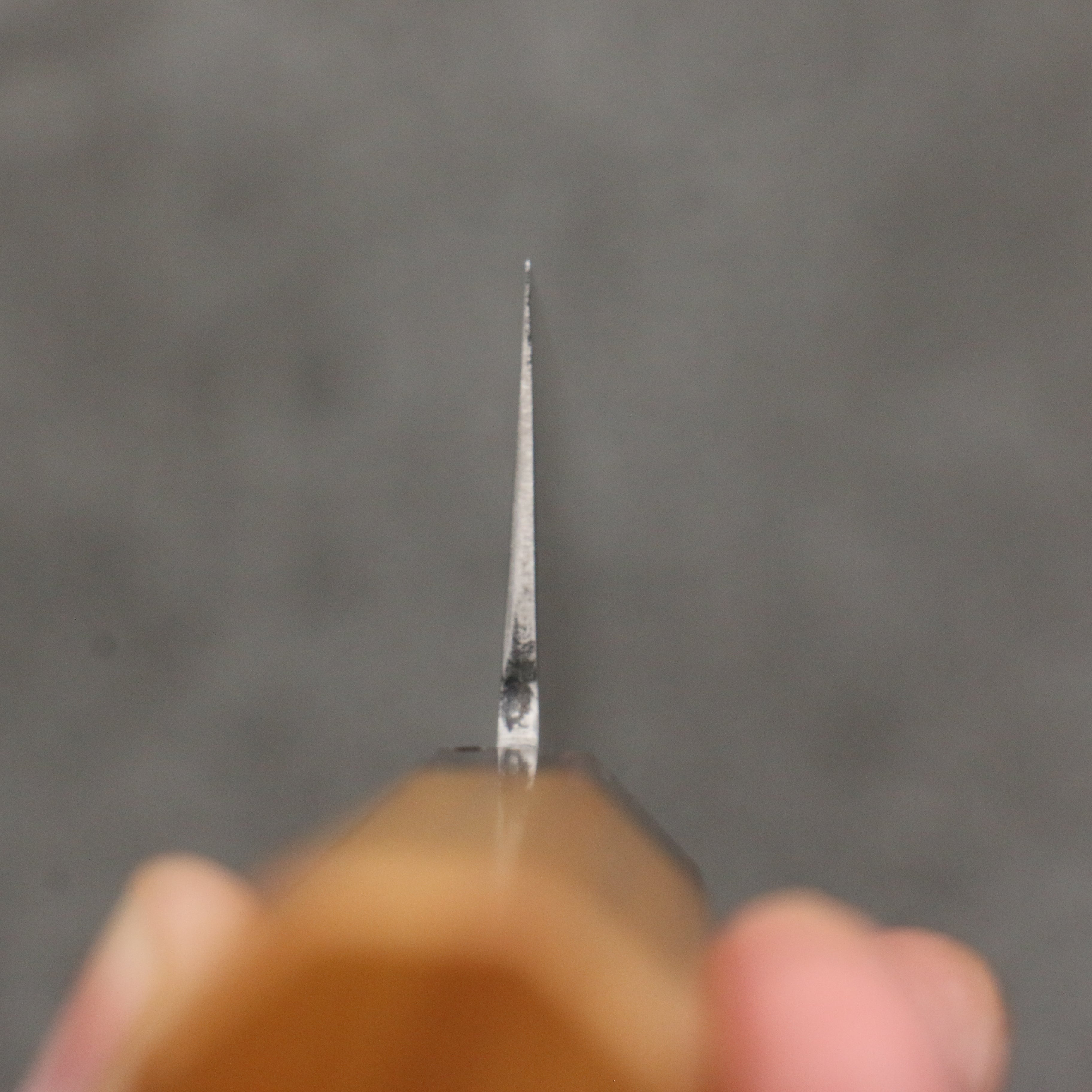 Shigeki Tanaka VG10 Damascus black dye Gyuto  210mm Keyaki (Japanese Elm) Handle - Japanny - Best Japanese Knife