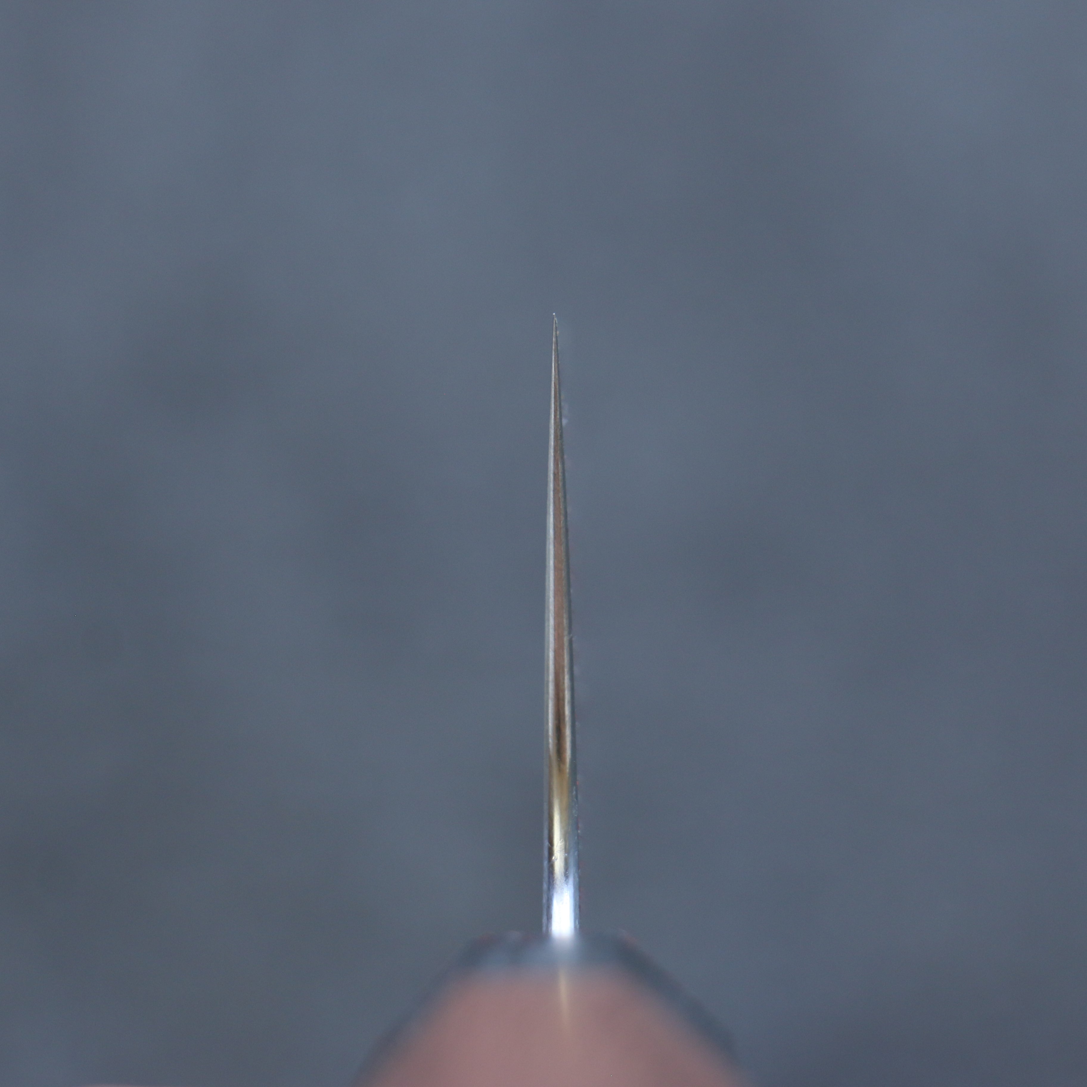 Shibata Takayuki Koutetsu Battleship SG2 Gyuto  190mm Jarrah Handle - Japanny - Best Japanese Knife