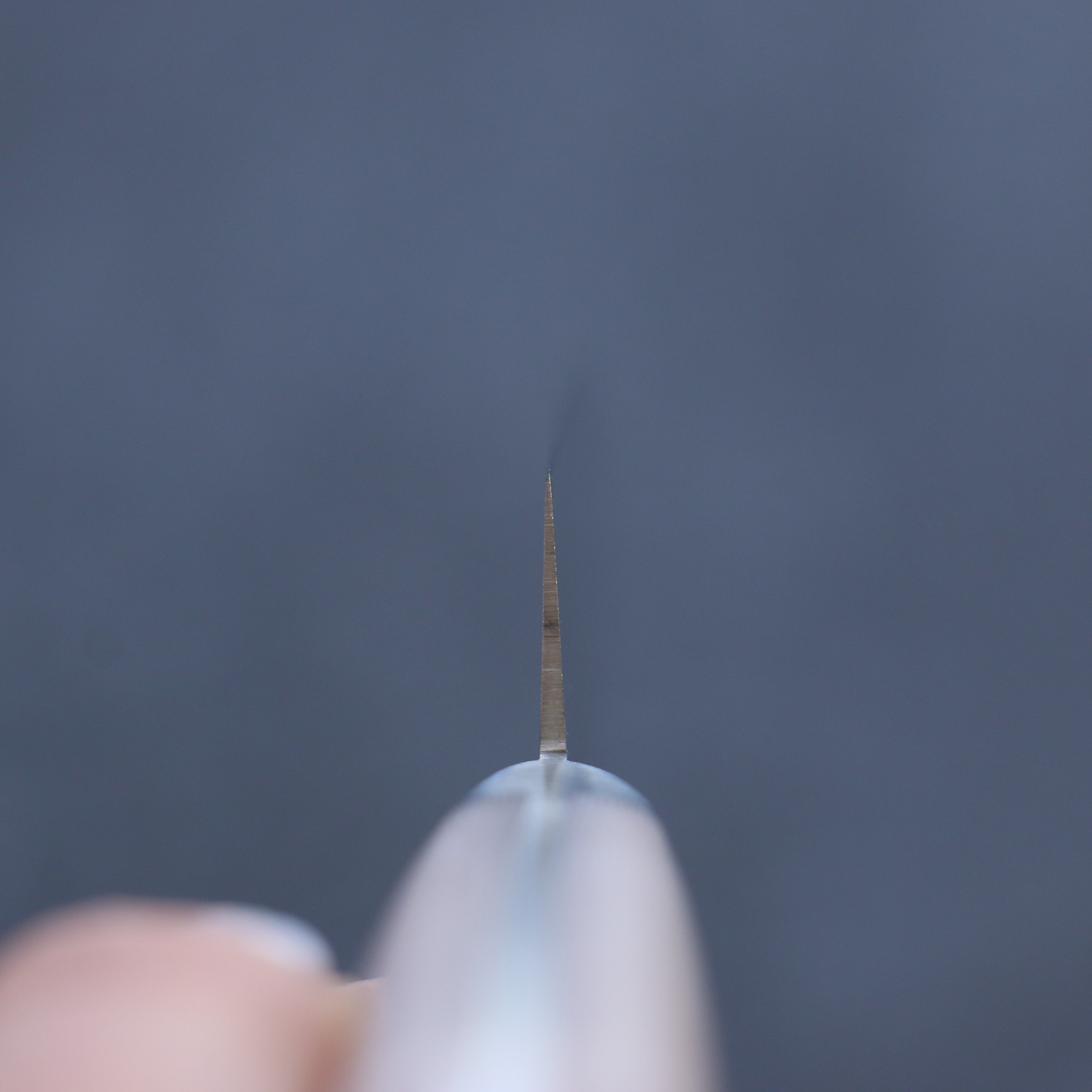 Anne Stainless Steel Petty-Utility 120mm Micarta Handle - Japanny - Best Japanese Knife