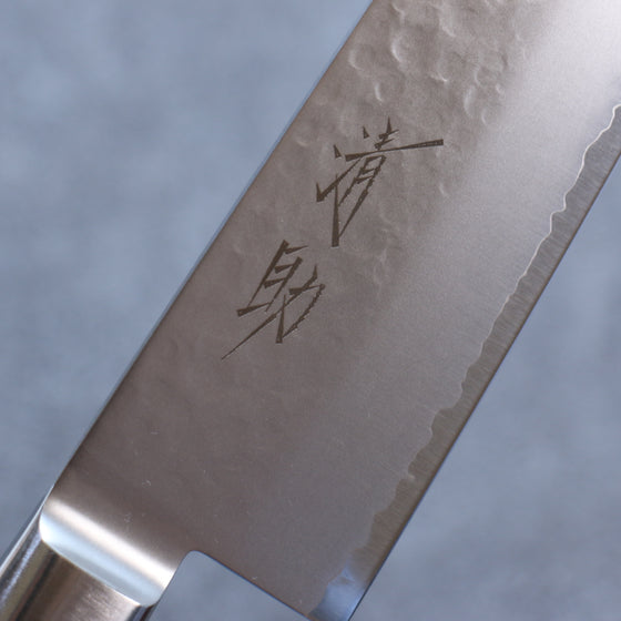 Seisuke VG5 Hammered Kasumitogi Gyuto 240mm Black Pakka wood Handle - Japanny - Best Japanese Knife