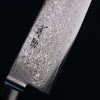 Seisuke VG10 33 Layer Mirrored Finish Damascus Kiritsuke Gyuto 210mm Red Pakka wood Handle - Japanny - Best Japanese Knife