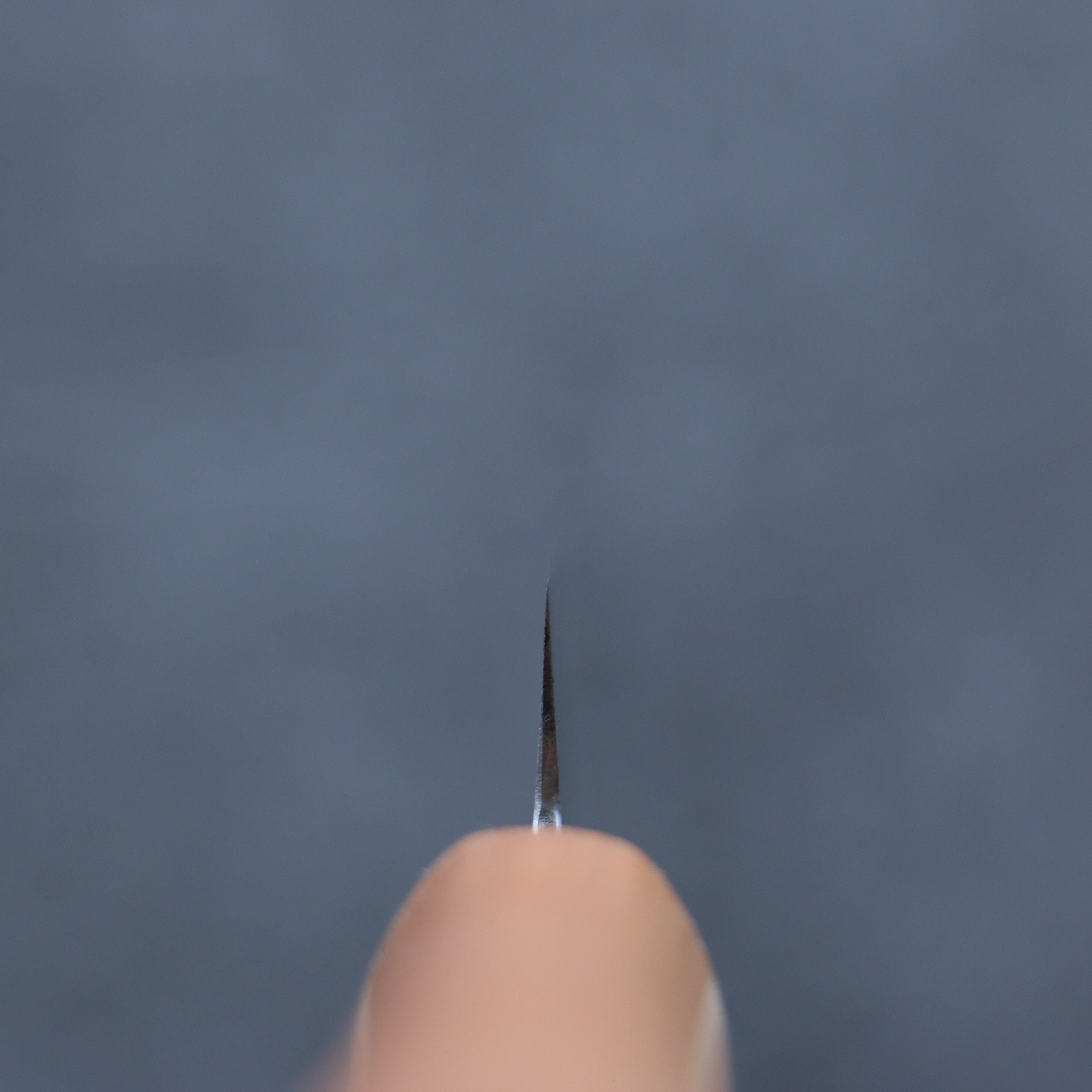 Shigeki Tanaka Majiro Silver Steel No.3 Bread Slicer 270mm Maple, Cherry, Walnut Handle - Japanny - Best Japanese Knife