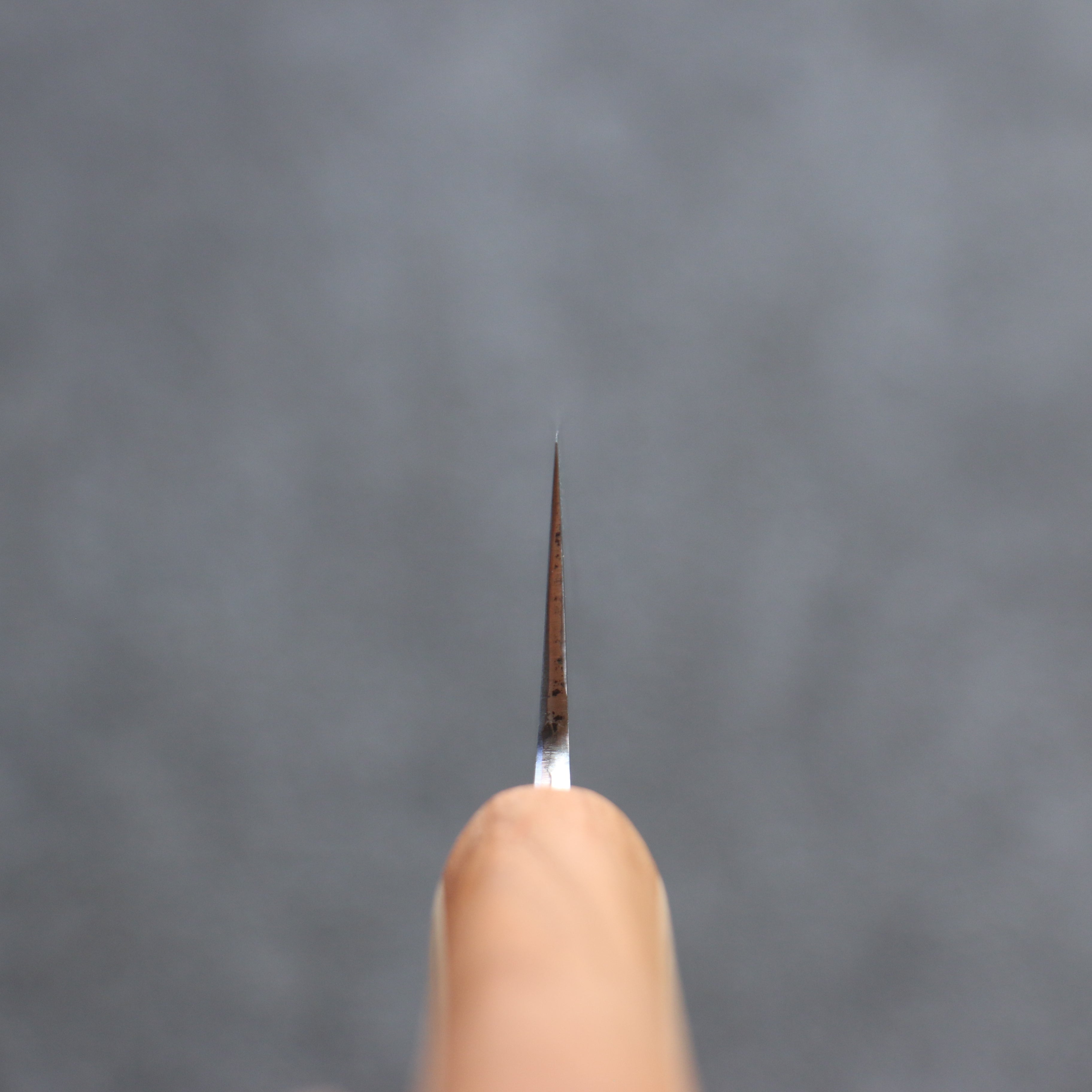 Shigeki Tanaka Majiro Silver Steel No.3 Gyuto 190mm Maple, Cherry, Walnut Handle - Japanny - Best Japanese Knife