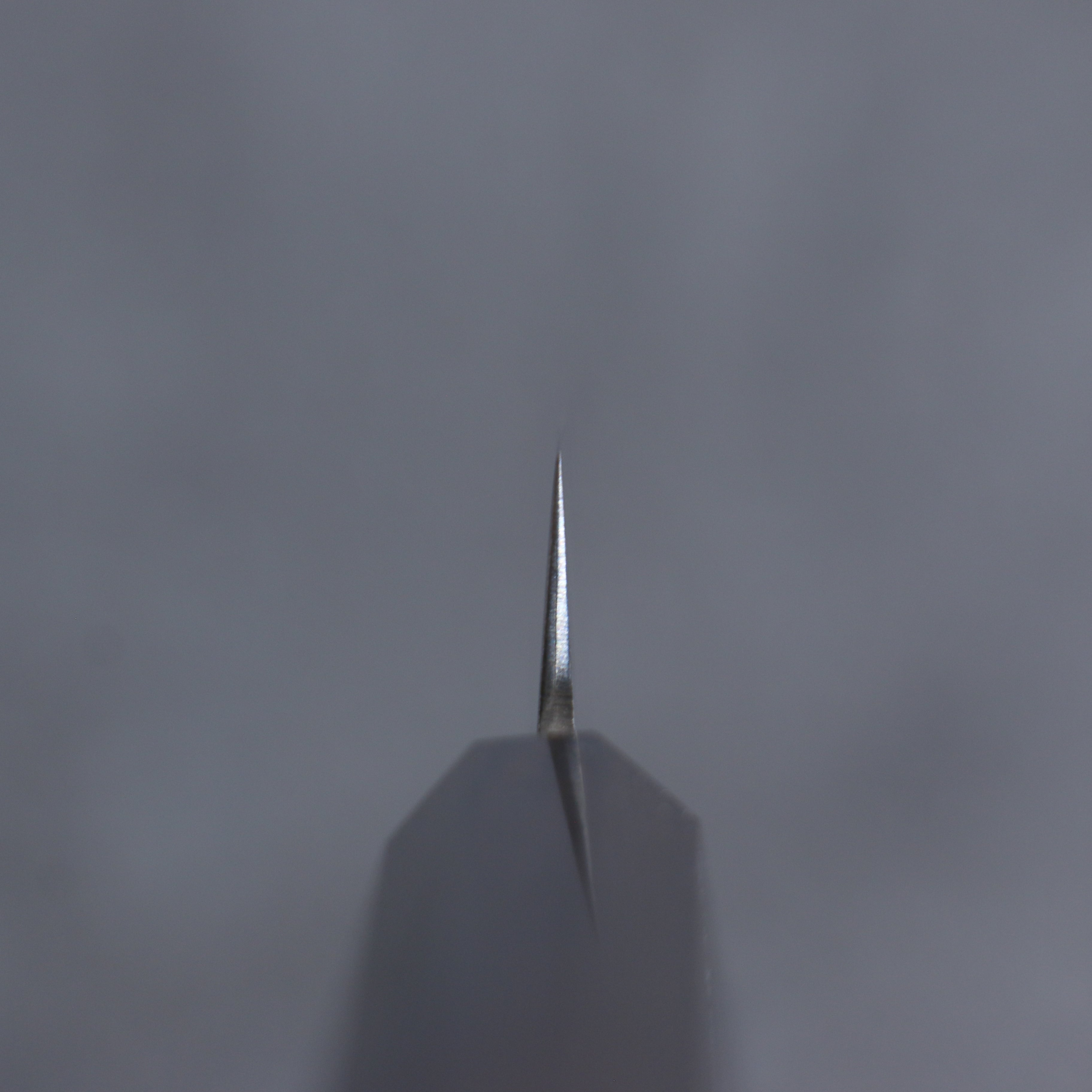 Seisuke SG2 Petty-Utility 135mm Ebony Wood Handle - Japanny - Best Japanese Knife