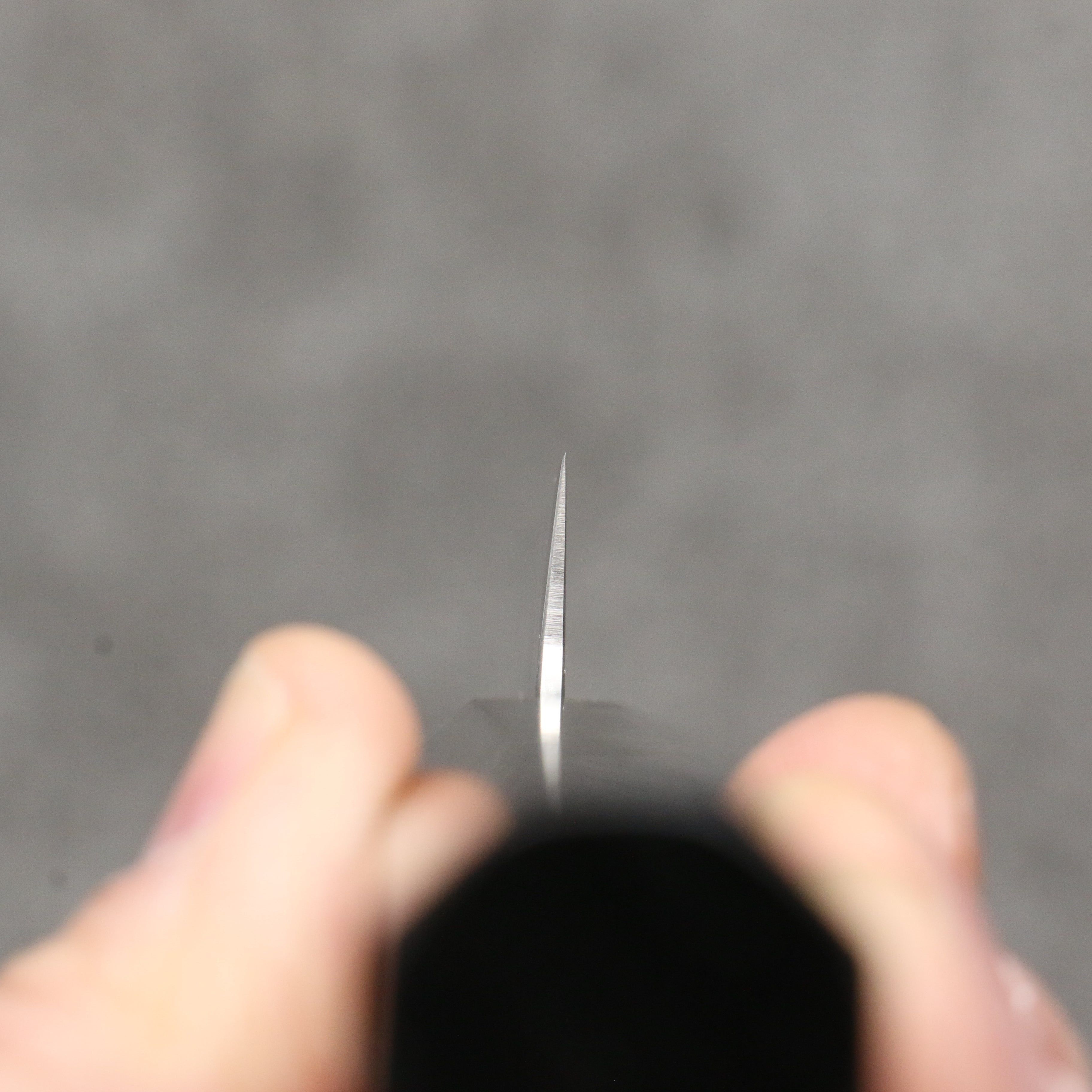 Seisuke Silver Steel No.3 Kiritsuke Petty-Utility 150mm Ebony Wood Handle - Japanny - Best Japanese Knife