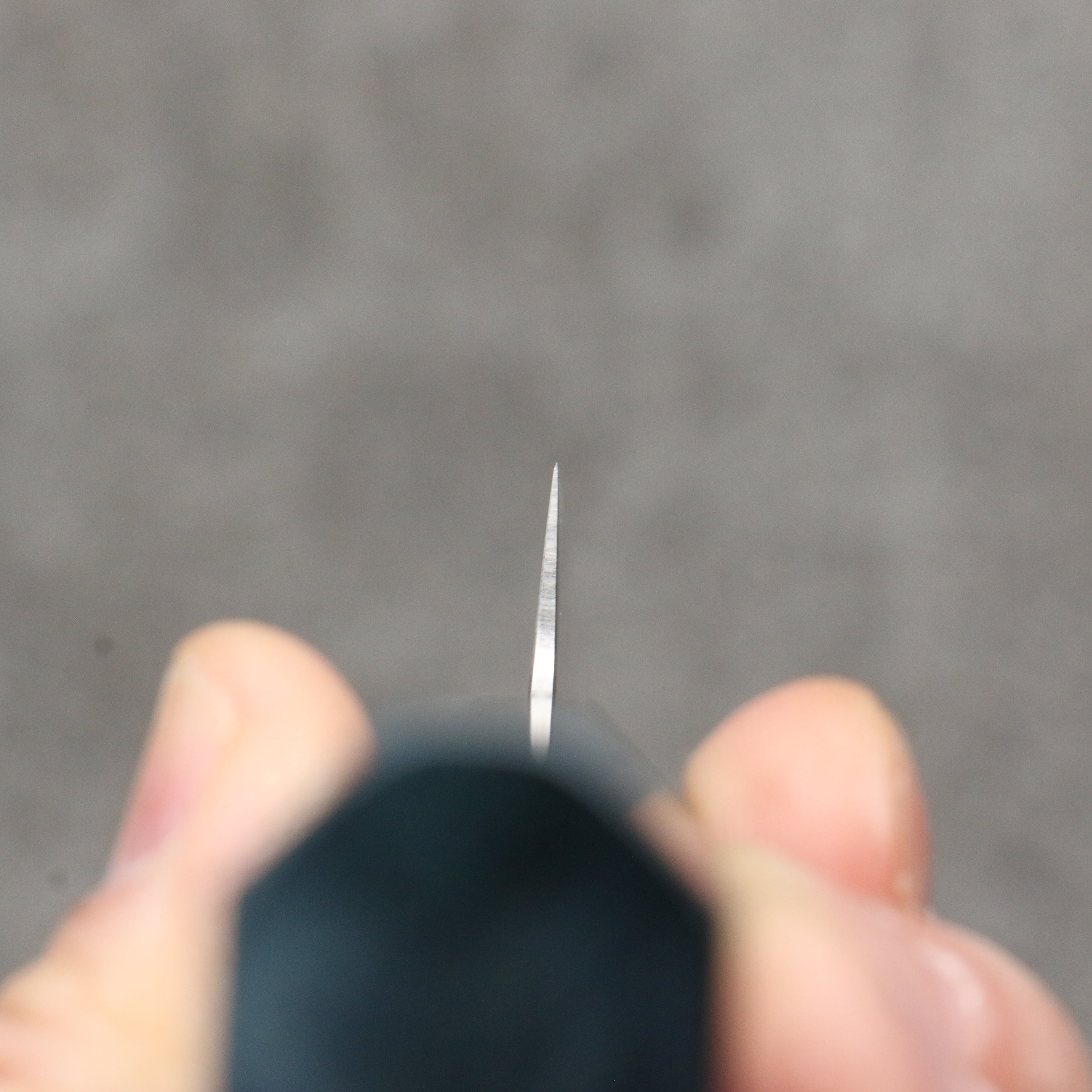 Seisuke Silver Steel No.3 Kiritsuke Petty-Utility 150mm Stabilized wood Handle - Japanny - Best Japanese Knife