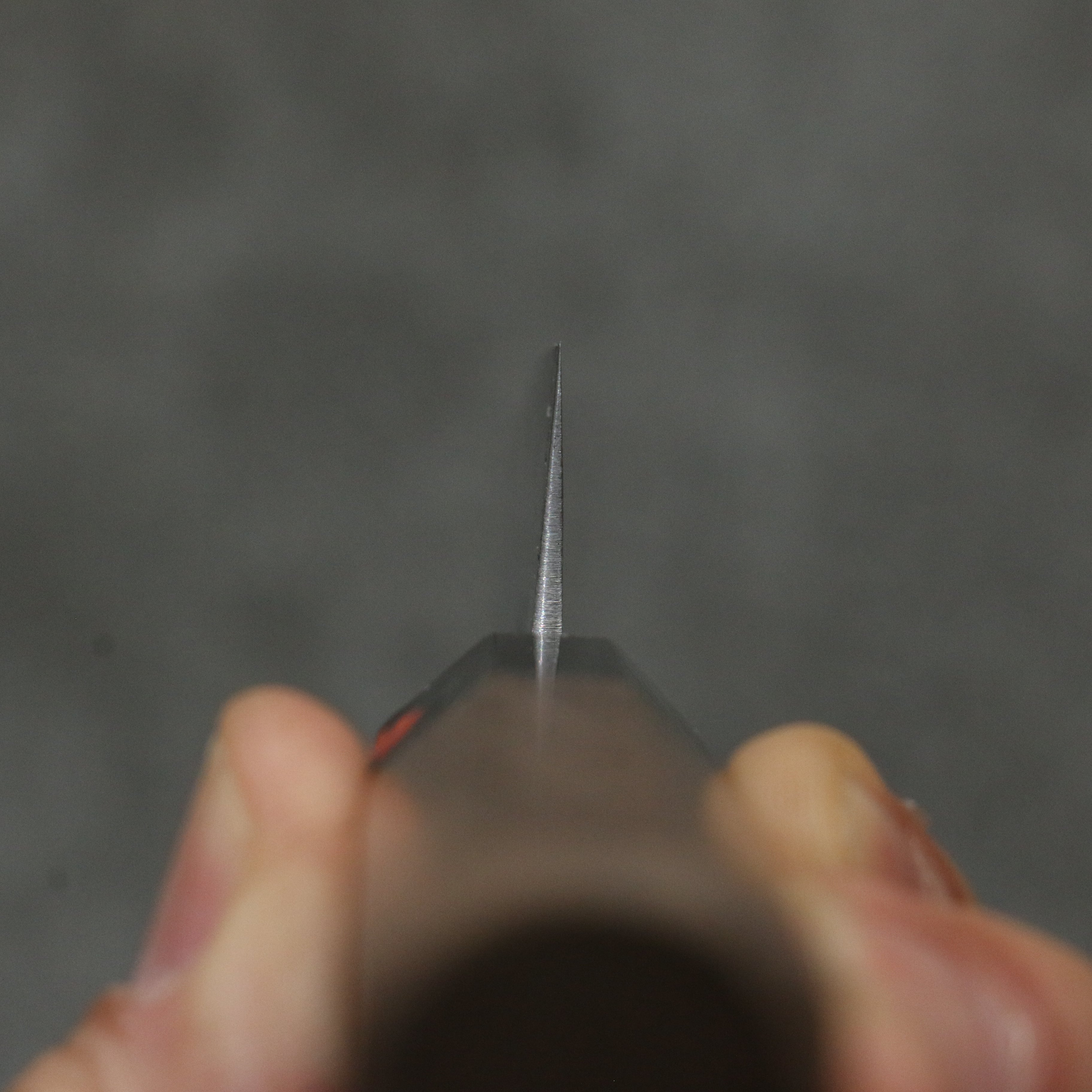 Shigeki Tanaka Harukaze SG2 Damascus Petty-Utility  150mm Walnut Handle - Japanny - Best Japanese Knife