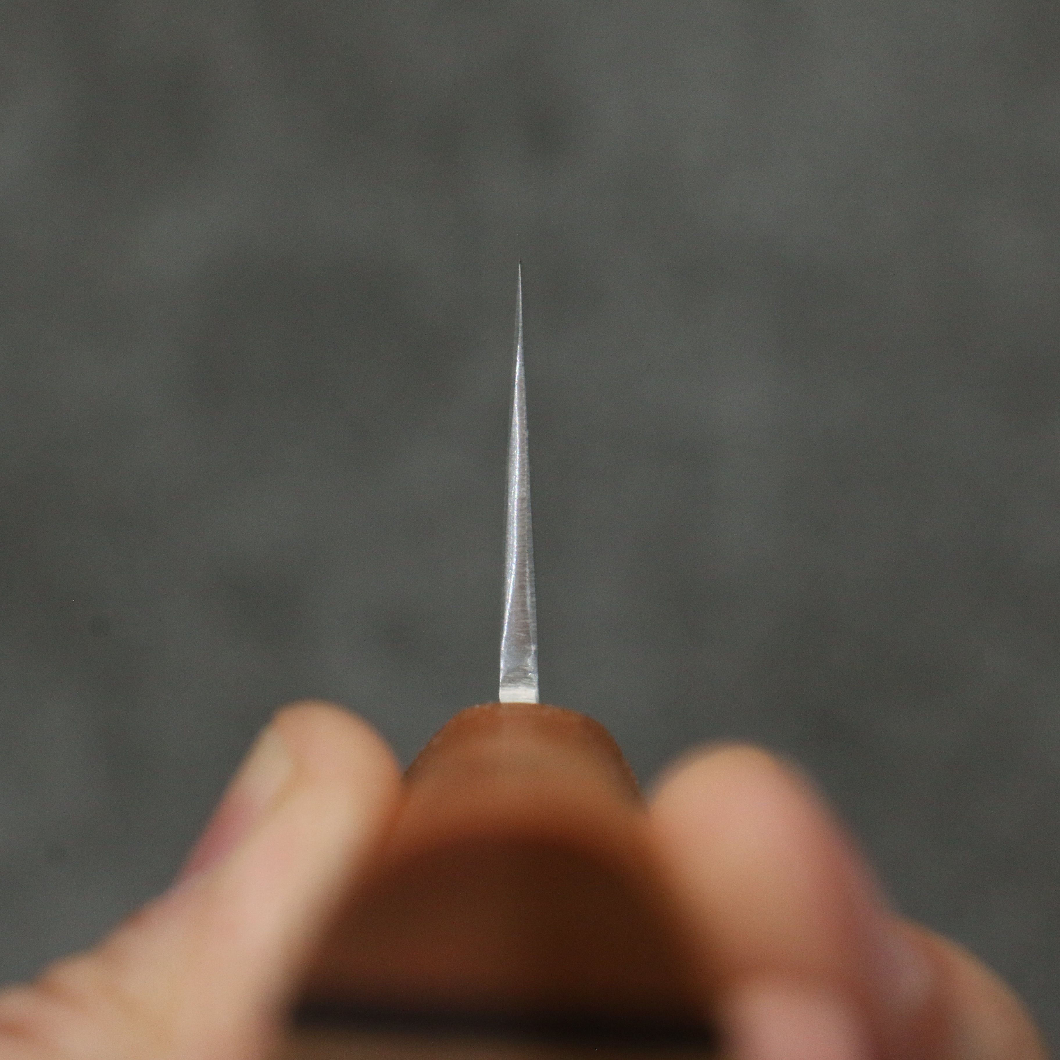 Shigeki Tanaka Majiro Silver Steel No.3 Gyuto  190mm Maple, Cherry, Walnut Handle - Japanny - Best Japanese Knife