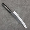 Sakai Takayuki Gold Filled Engraving by Kubota Unryu White Steel No.2 Black Finished Gyuto  210mm Ebony Wood Handle - Japanny - Best Japanese Knife