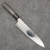 Seisuke VG5 Black Nashiji Mirrored Finish Gyuto  210mm Gray Pakka wood Handle - Japanny - Best Japanese Knife
