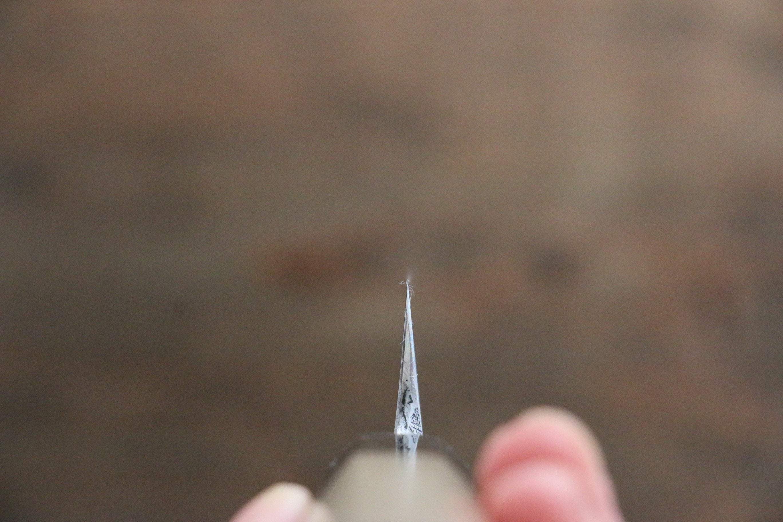 Seisuke [Left Handed] White Steel No.2 Kasumitogi Yanagiba - Japanny - Best Japanese Knife