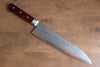 Seisuke VG10 33 Layer Mirrored Finish Damascus Gyuto 210mm Red Pakka wood Handle - Japanny - Best Japanese Knife