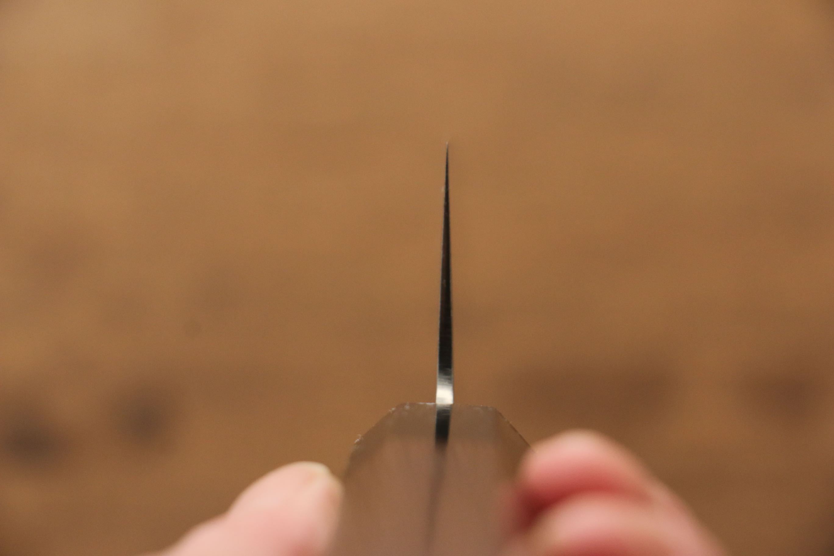 Sakai Takayuki Galaxy ZA-18 Damascus Gyuto 210mm Wenge Handle - Japanny - Best Japanese Knife