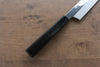 Sakai Takayuki Hien Blue Steel No.2 Honyaki Mirrored Finish Kiritsuke Yanagiba 300mm Ebony Wood Handle with Sheath - Japanny - Best Japanese Knife