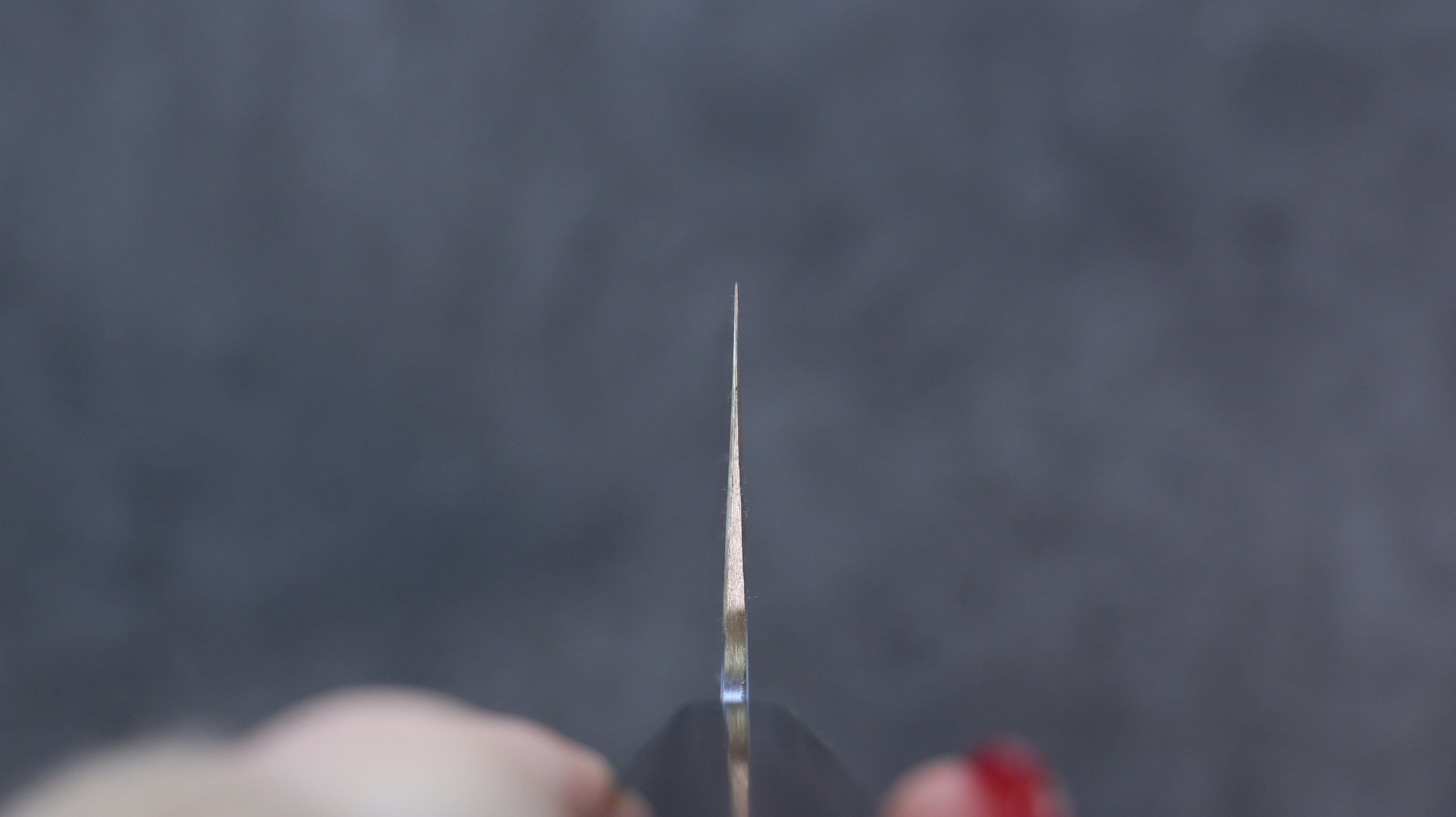 Nao Yamamoto SG2 Black Damascus Gyuto 270mm Shitan Handle - Japanny - Best Japanese Knife