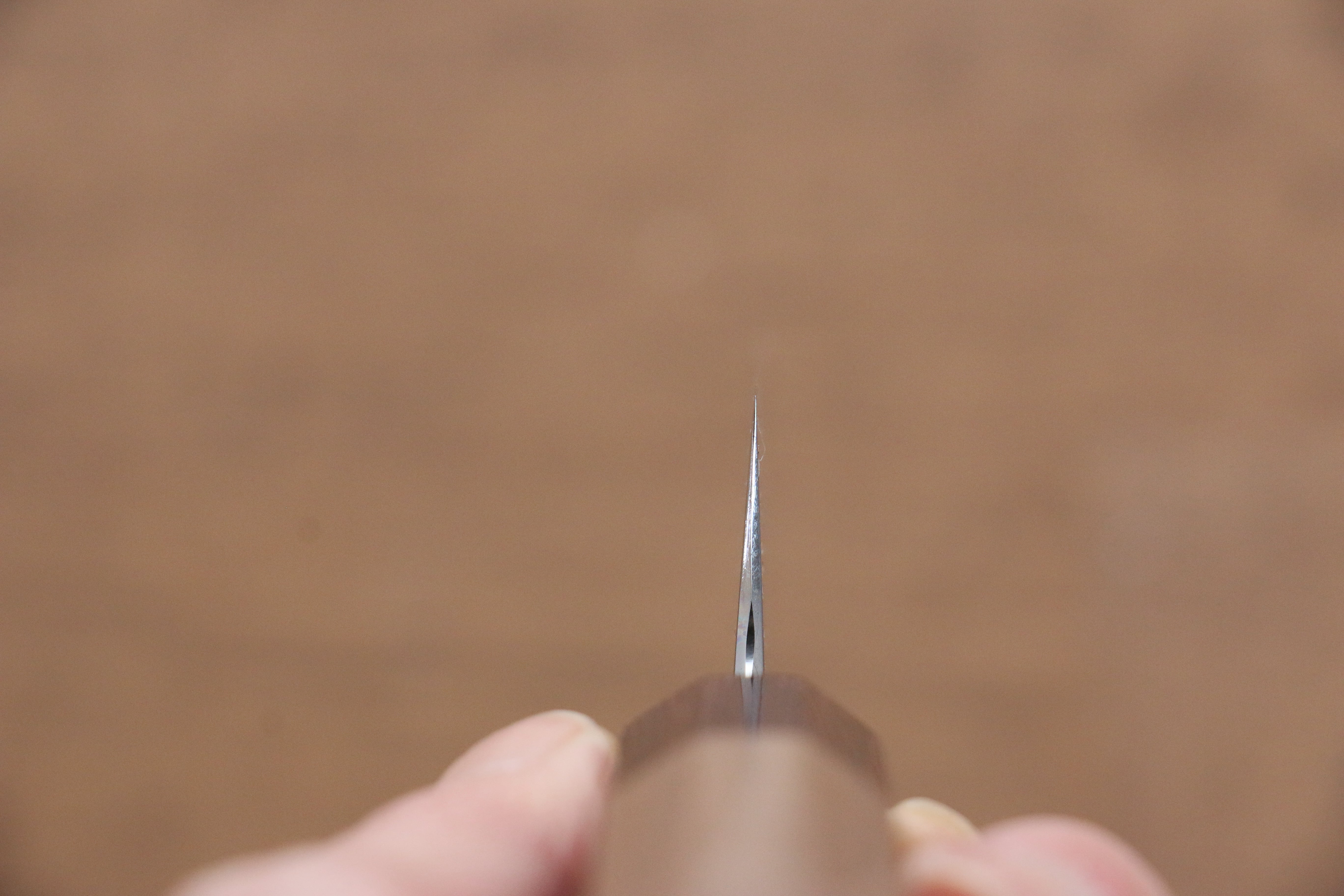 Naohito Myojin SG2 Petty-Utility 165mm Walnut Handle - Japanny - Best Japanese Knife