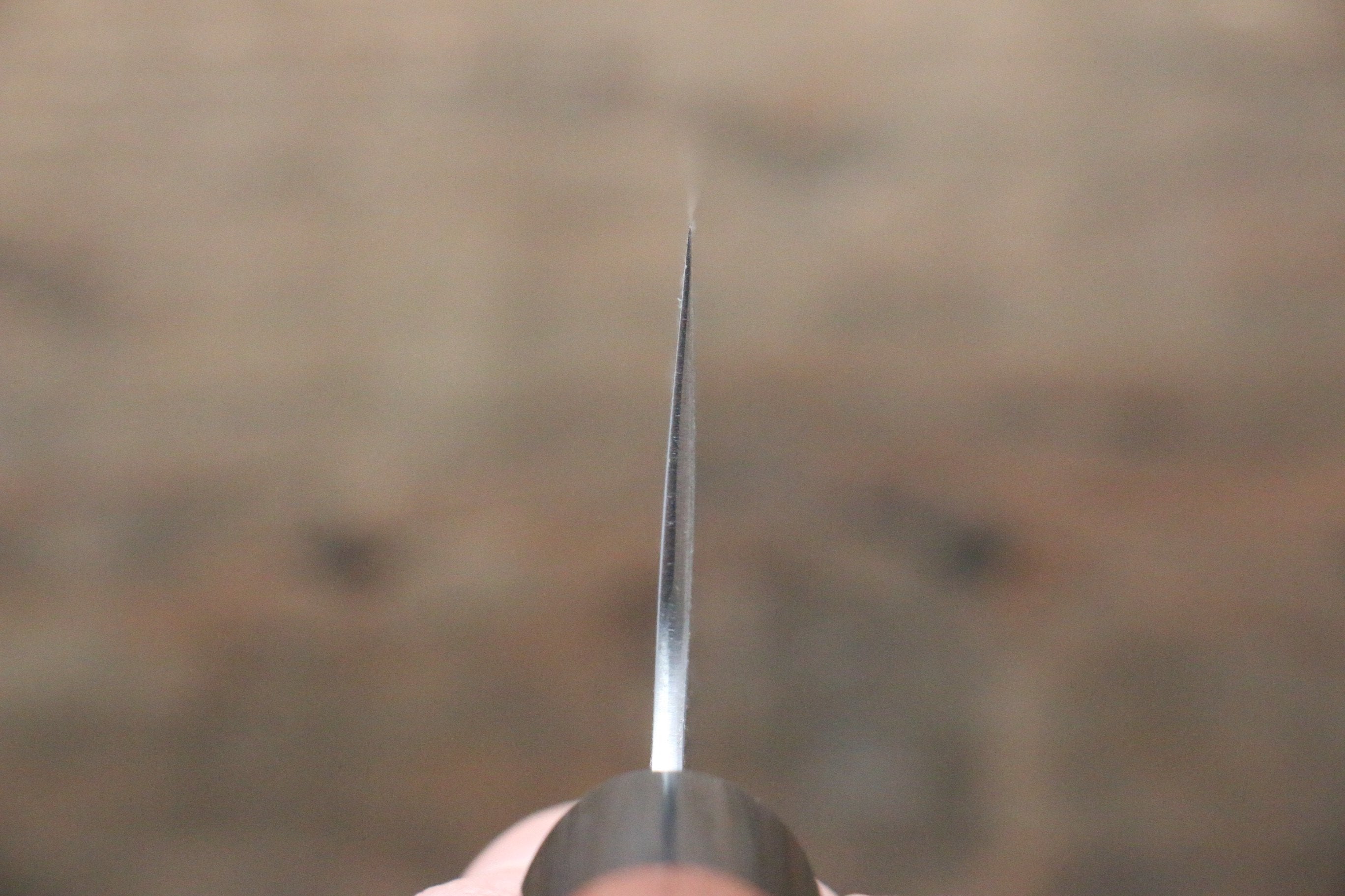 Seisuke SG2 Bunka 180mm Jarrah Handle - Japanny - Best Japanese Knife