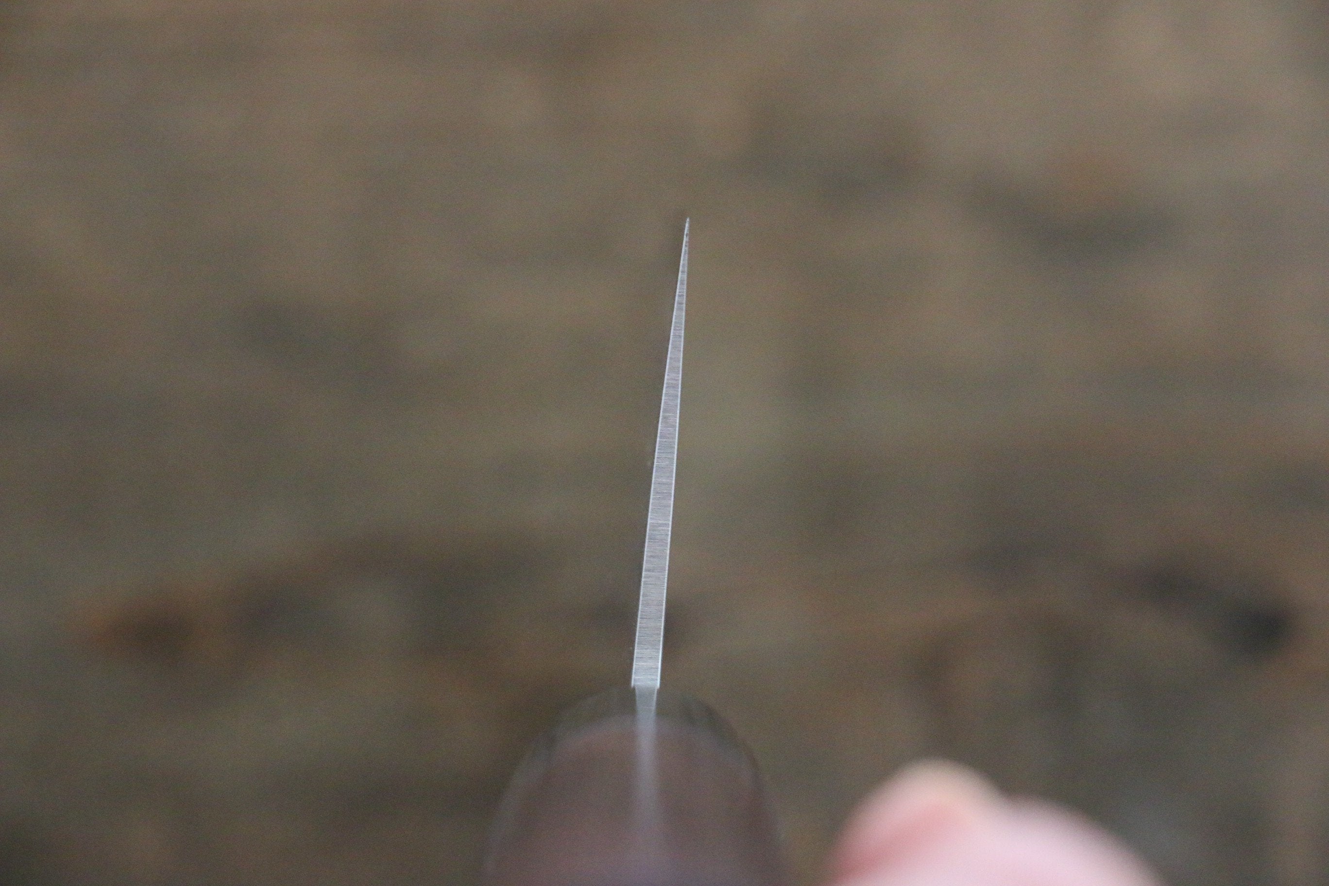 Seisuke VG10 63 Layer Damascus Usuba 165mm Shitan Handle - Japanny - Best Japanese Knife