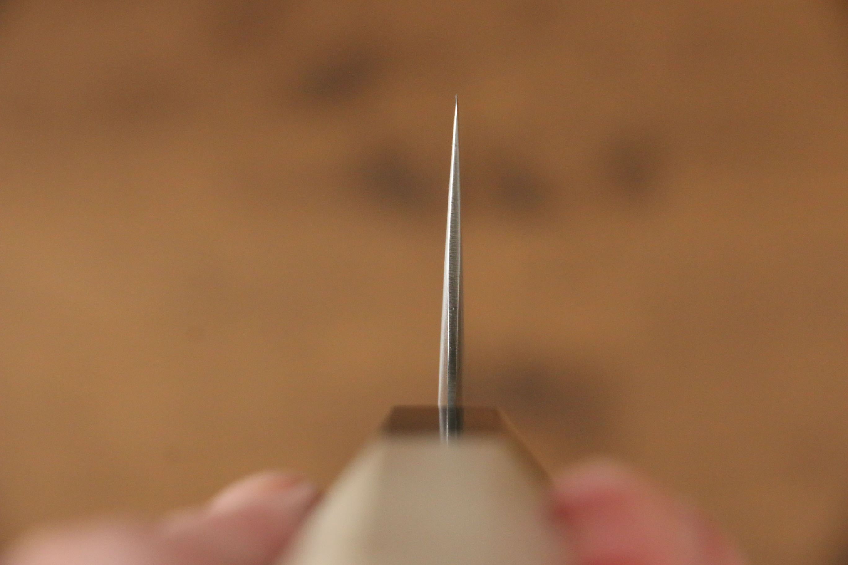 Jikko SG2 Gyuto  210mm Magnolia Handle - Japanny - Best Japanese Knife