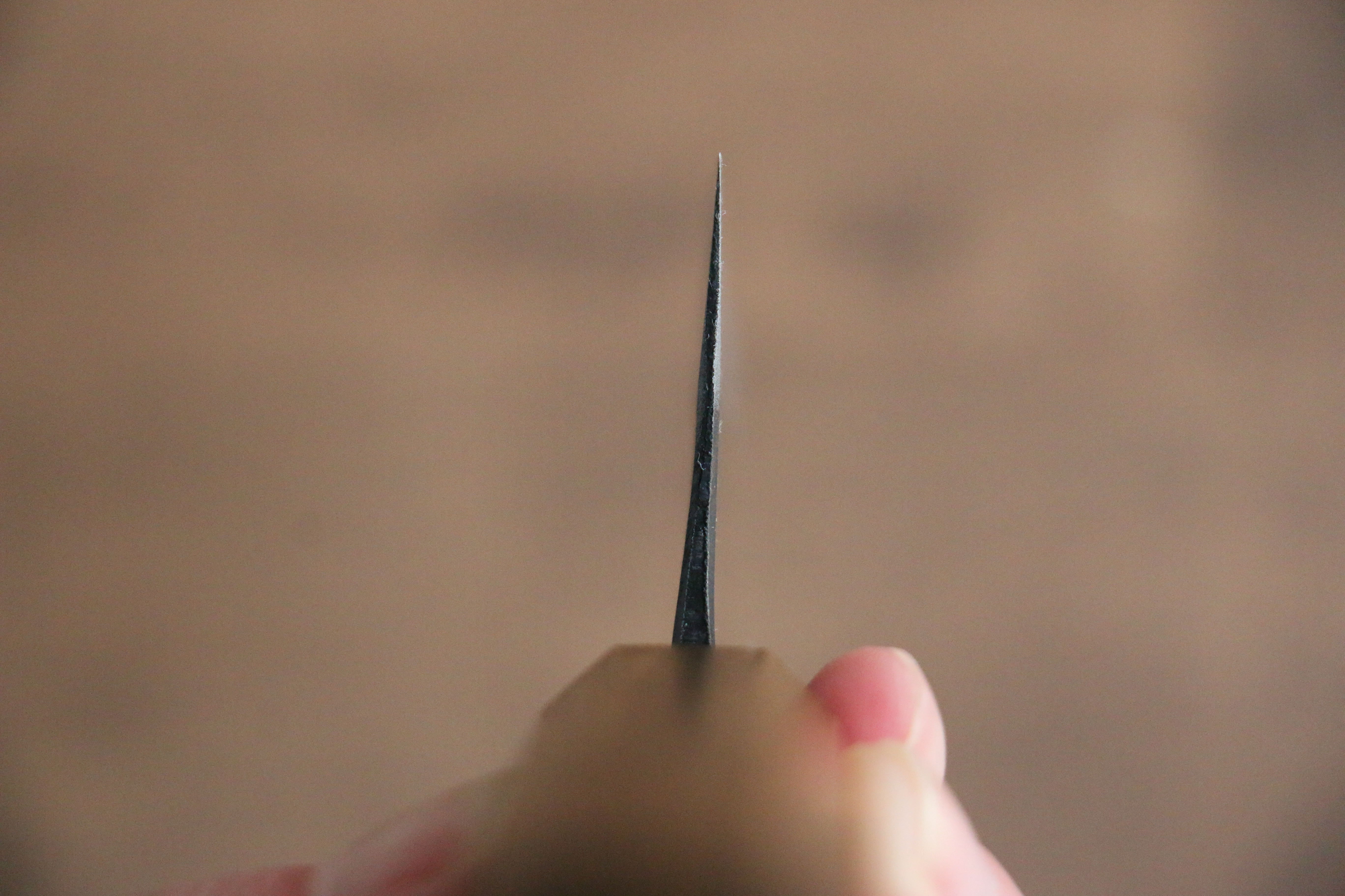 Kyohei Shindo Blue Steel Black Finished Santoku 170mm Live oak Lacquered Handle - Japanny - Best Japanese Knife