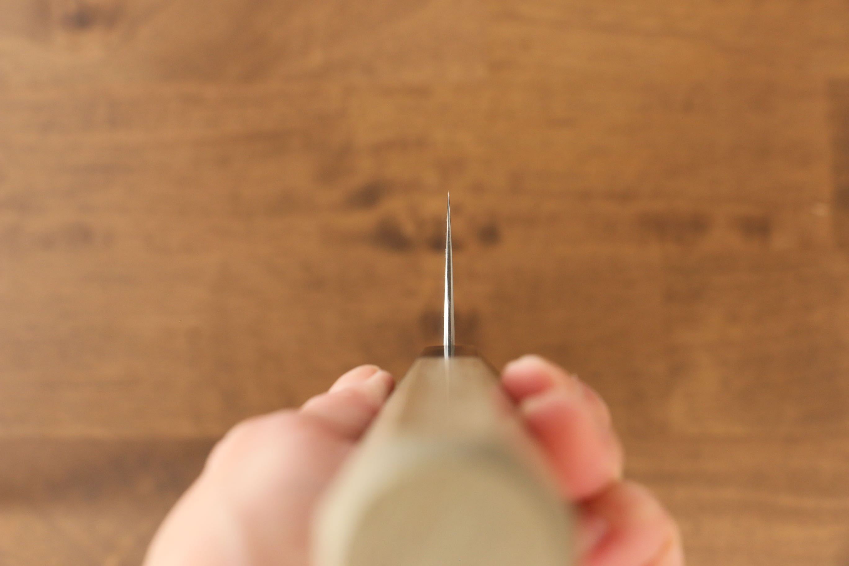 Jikko SG2 Gyuto  240mm Magnolia Handle - Japanny - Best Japanese Knife