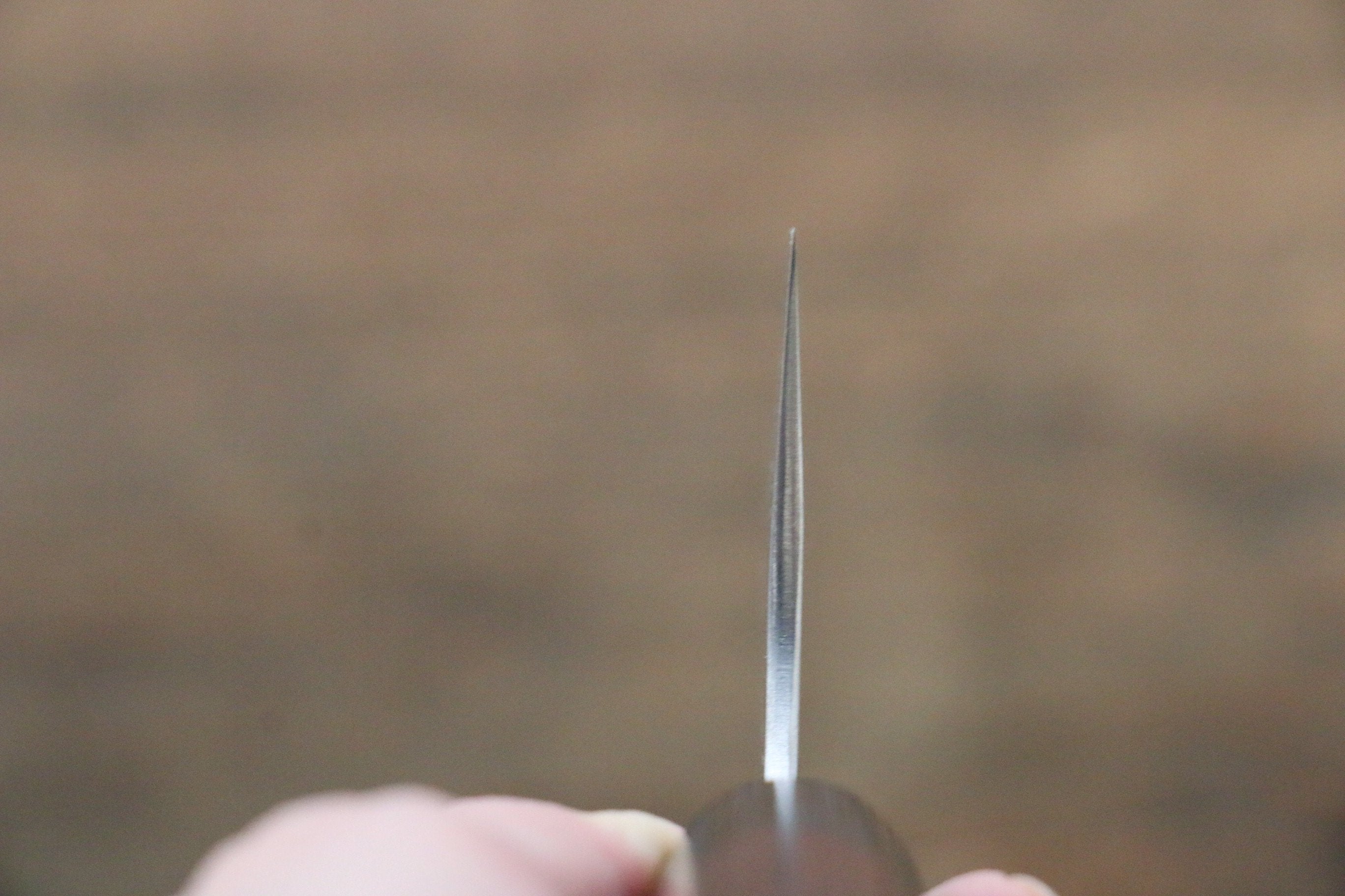 Shungo Ogata SG2 Kurouchi Black Finished Gyuto 210mm Shitan Handle - Japanny - Best Japanese Knife