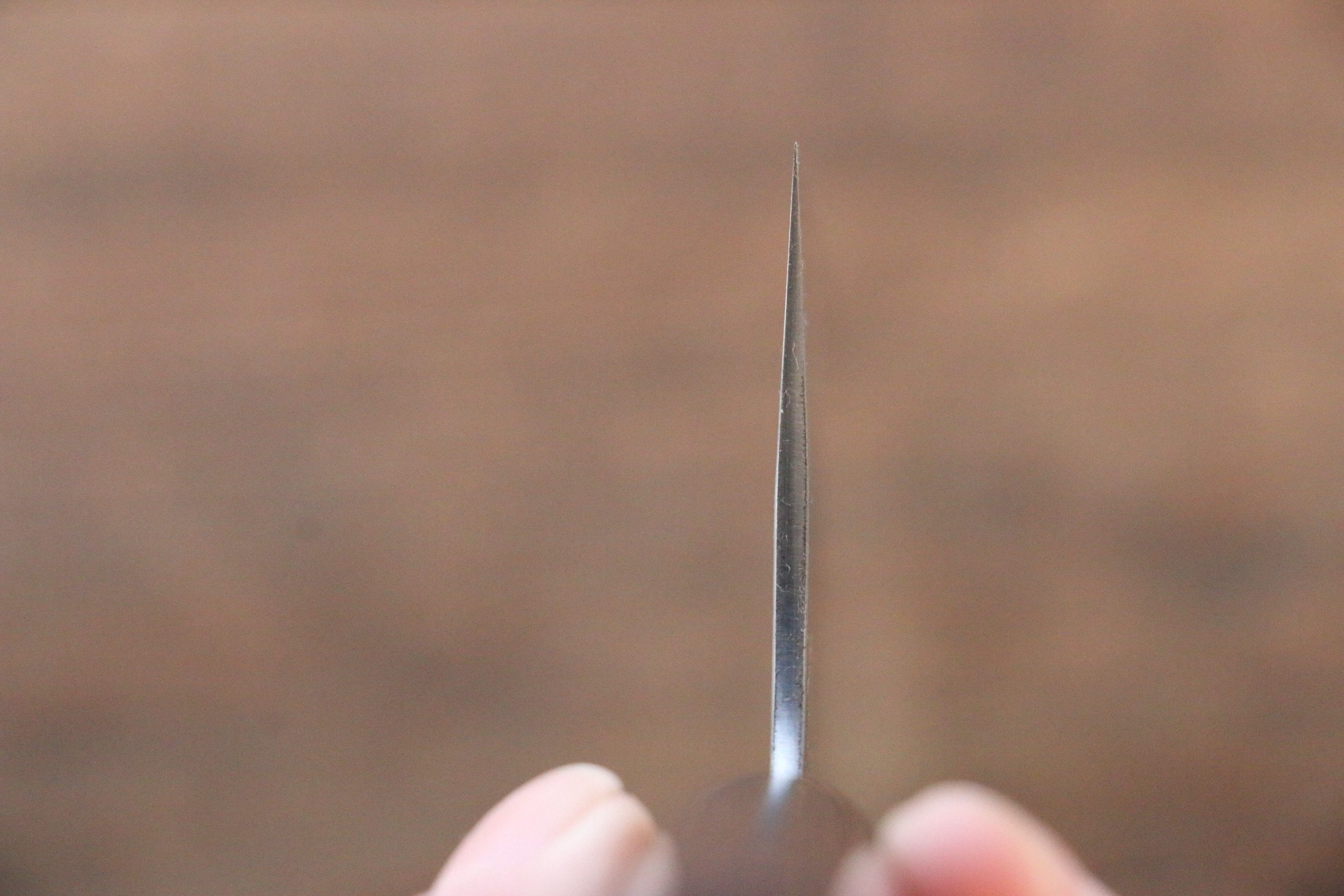 Shungo Ogata SG2 Kurouchi Black Finished Gyuto 240mm Shitan Handle - Japanny - Best Japanese Knife