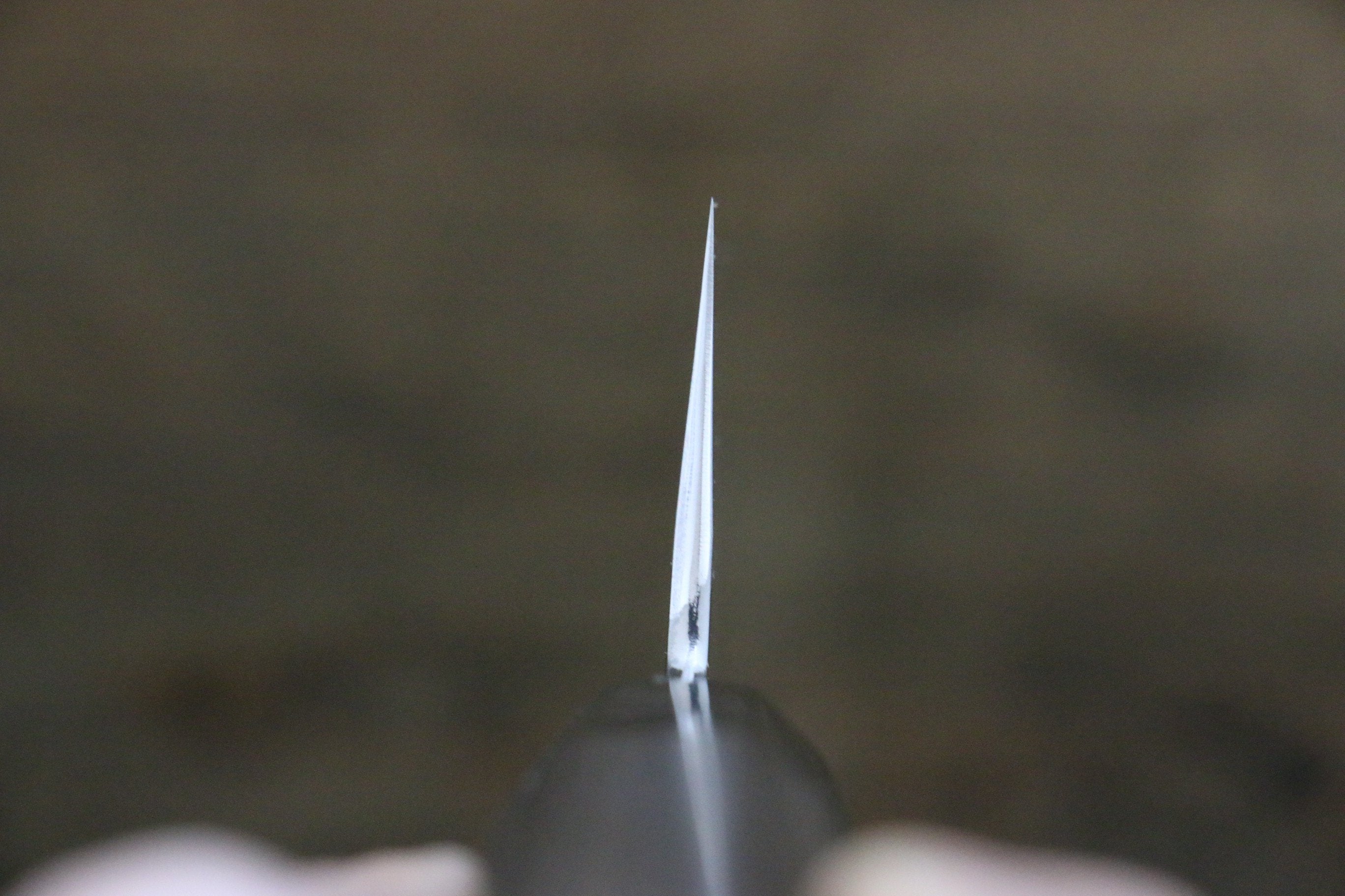 Kikumori VG10 Mirrored Finish Gyuto Japanese Chef Knife 240mm with Ebony Handle - Japanny - Best Japanese Knife