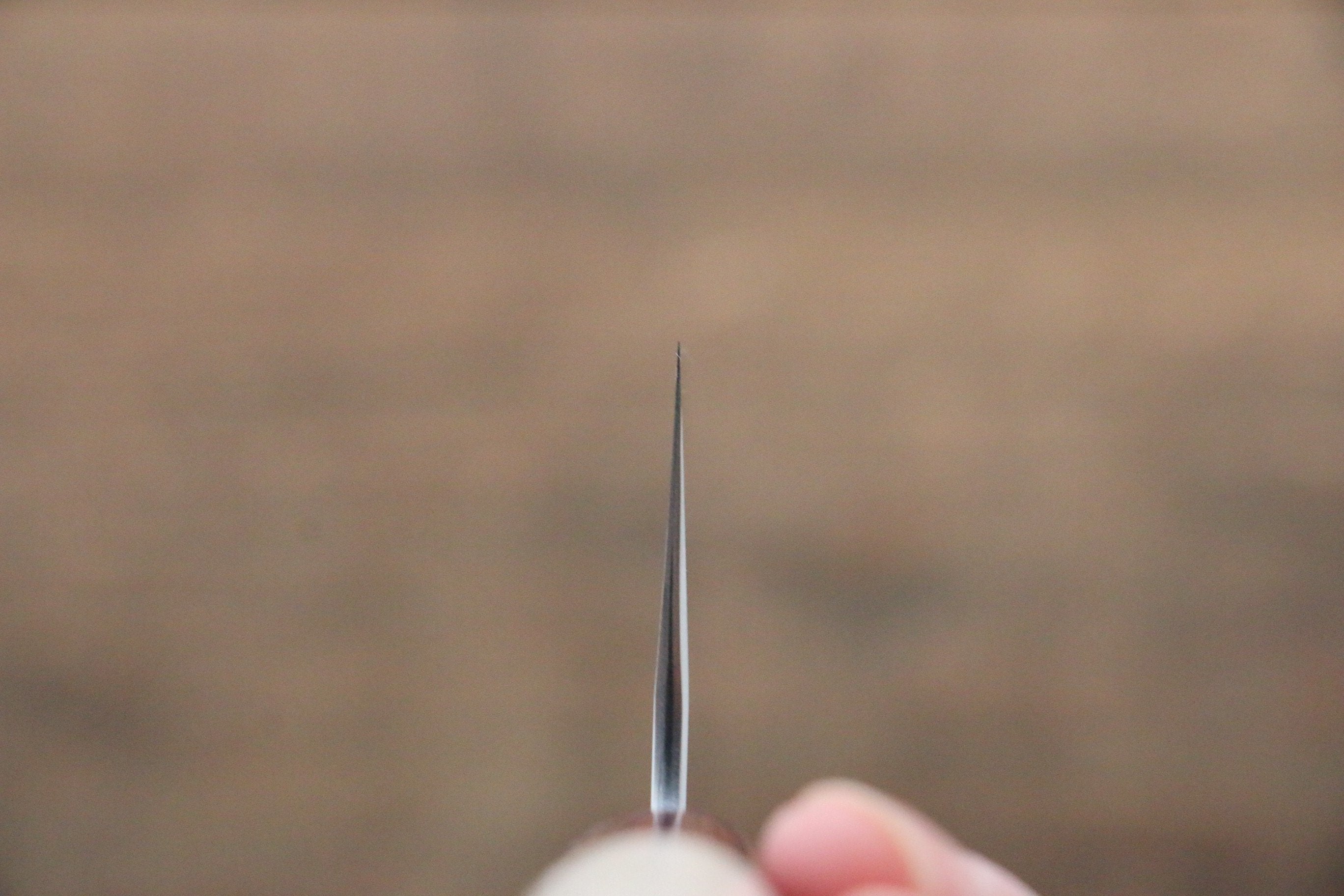 Seisuke VG10 16 Layer Hammered Damascus Gyuto 210mm with Magnolia Handle - Japanny - Best Japanese Knife