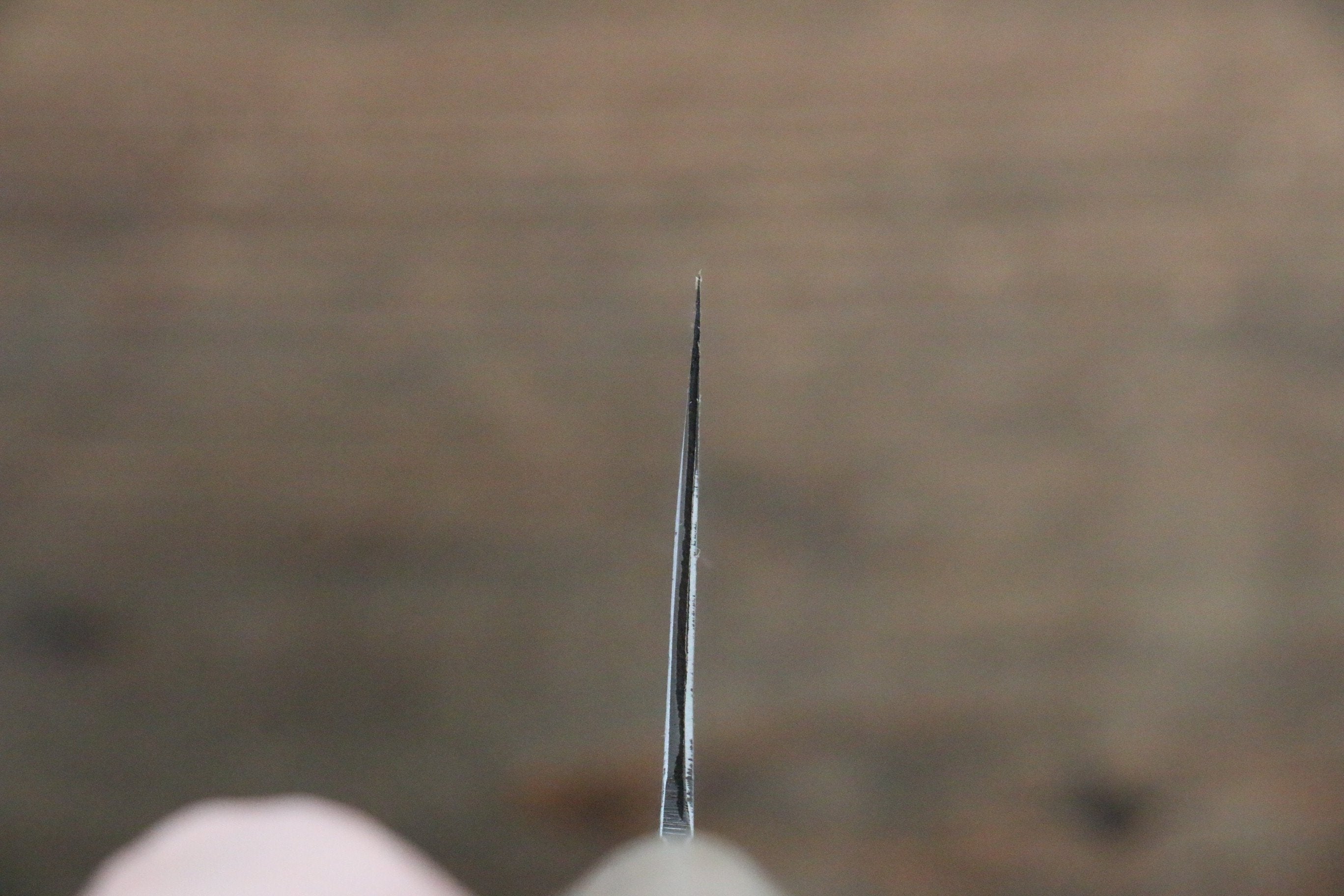 Fujiwara Teruyasu White Steel No.1 Nashiji Nakiri 165mm with Magnolia Handle - Japanny - Best Japanese Knife