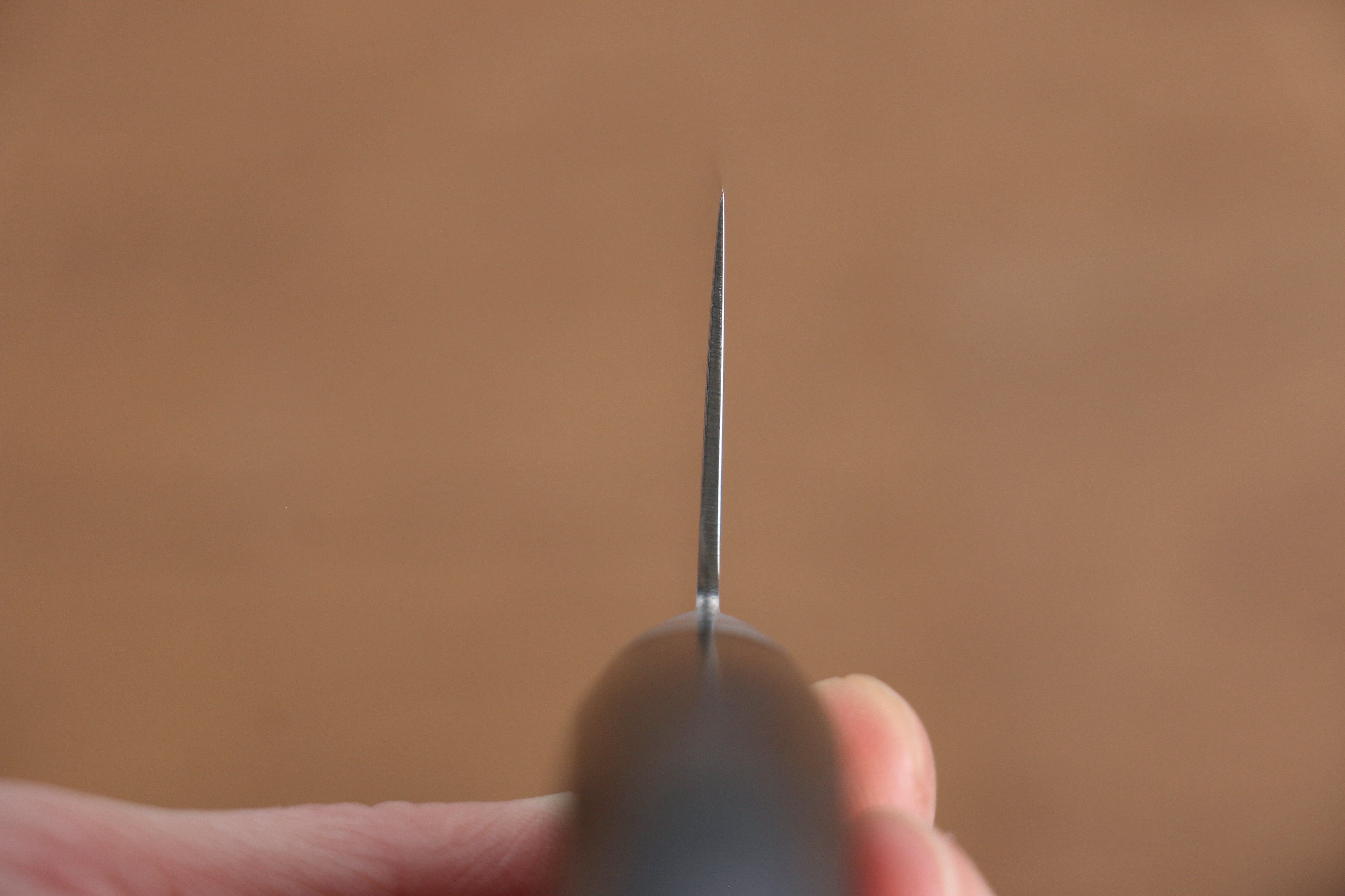 Seisuke AUS10 45 Layer Mirrored Finish Damascus Santoku 170mm Black Pakka wood Handle - Japanny - Best Japanese Knife