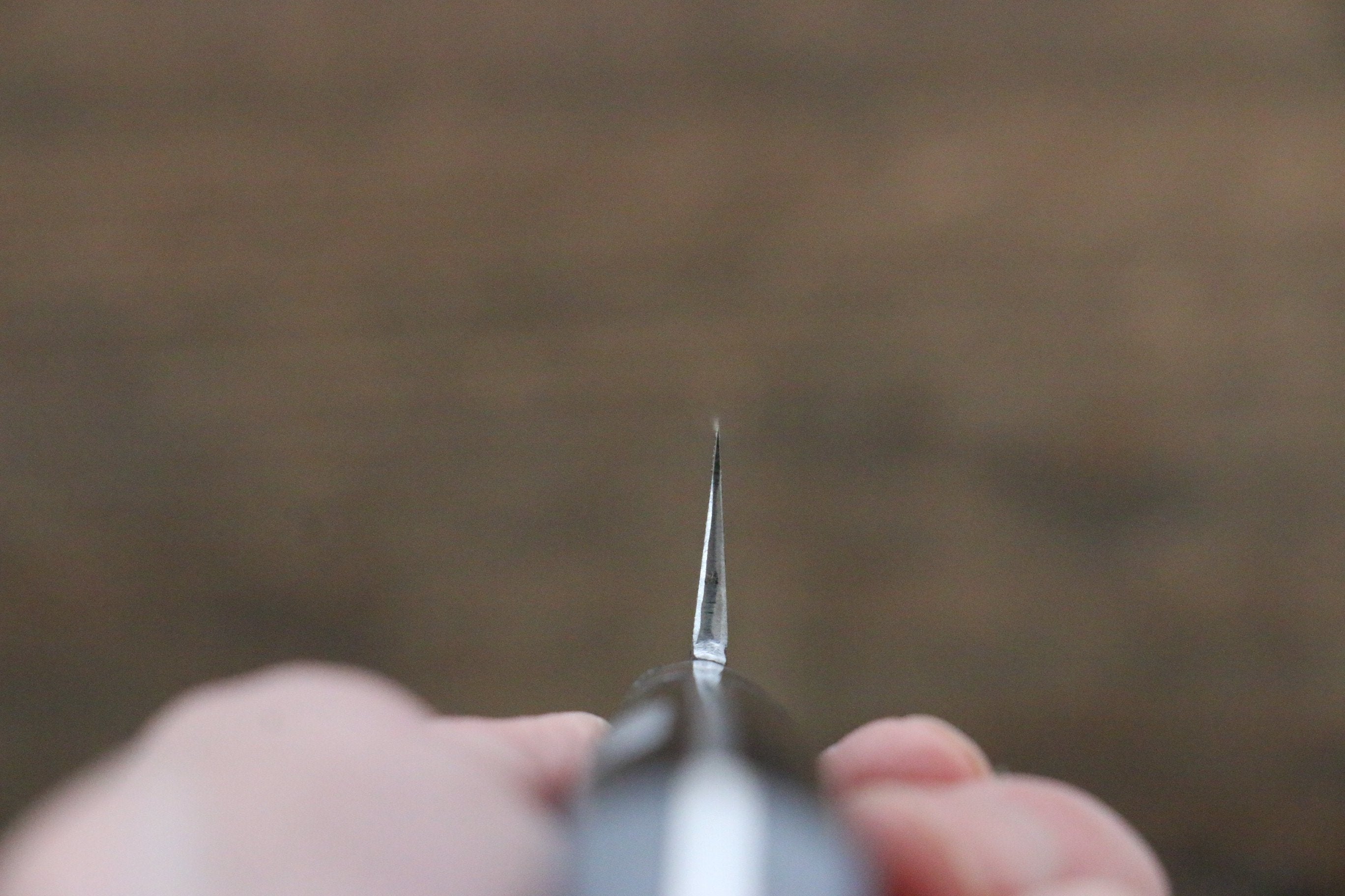 Fujiwara Teruyasu Fujiwara Teruyasu Denka Blue Super Black Finished Petty-Utility 120mm with Black Pakka wood Handle - Japanny - Best Japanese Knife