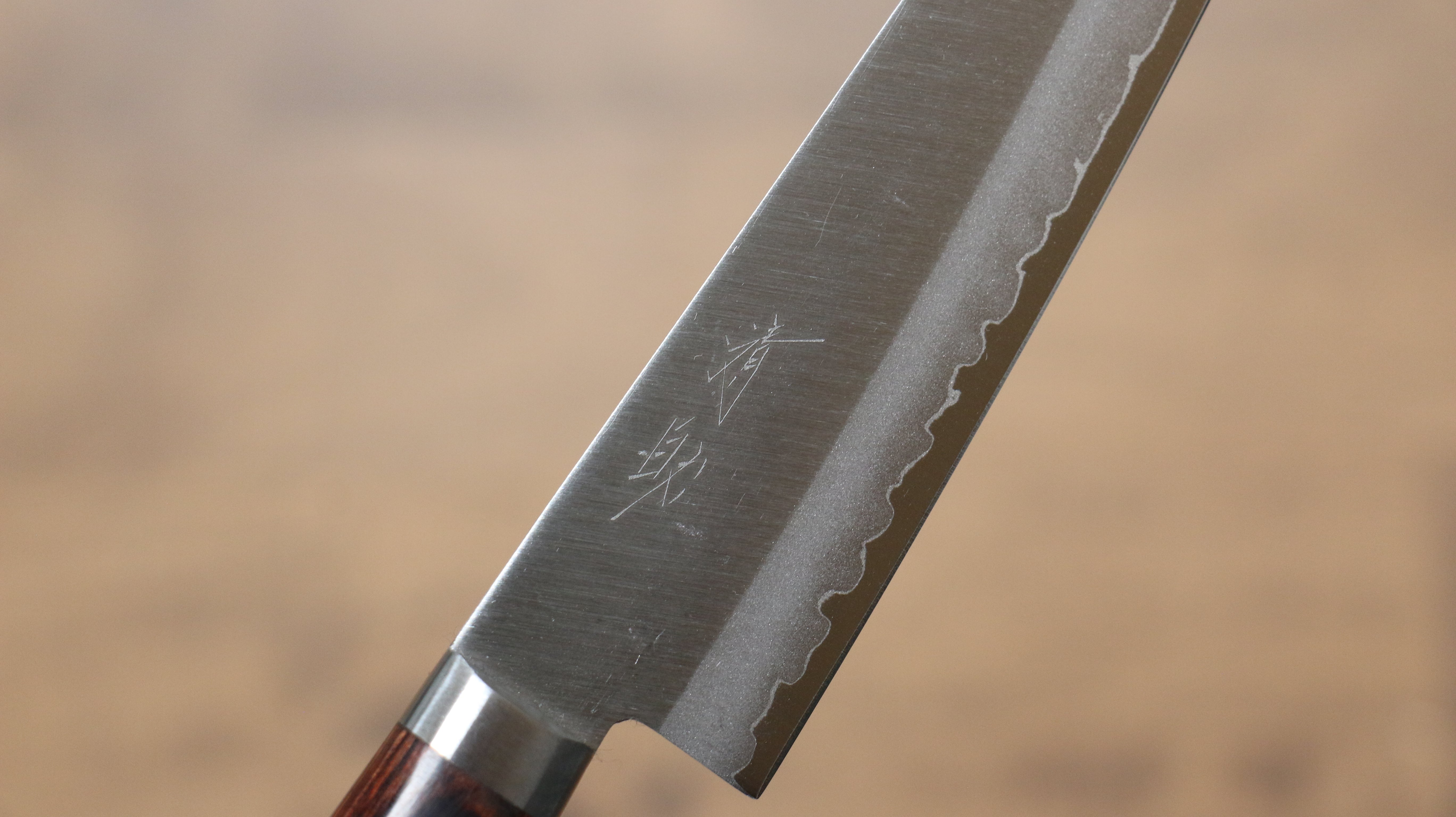 Seisuke VG1 Petty-Utility 135mm Mahogany Handle - Japanny - Best Japanese Knife