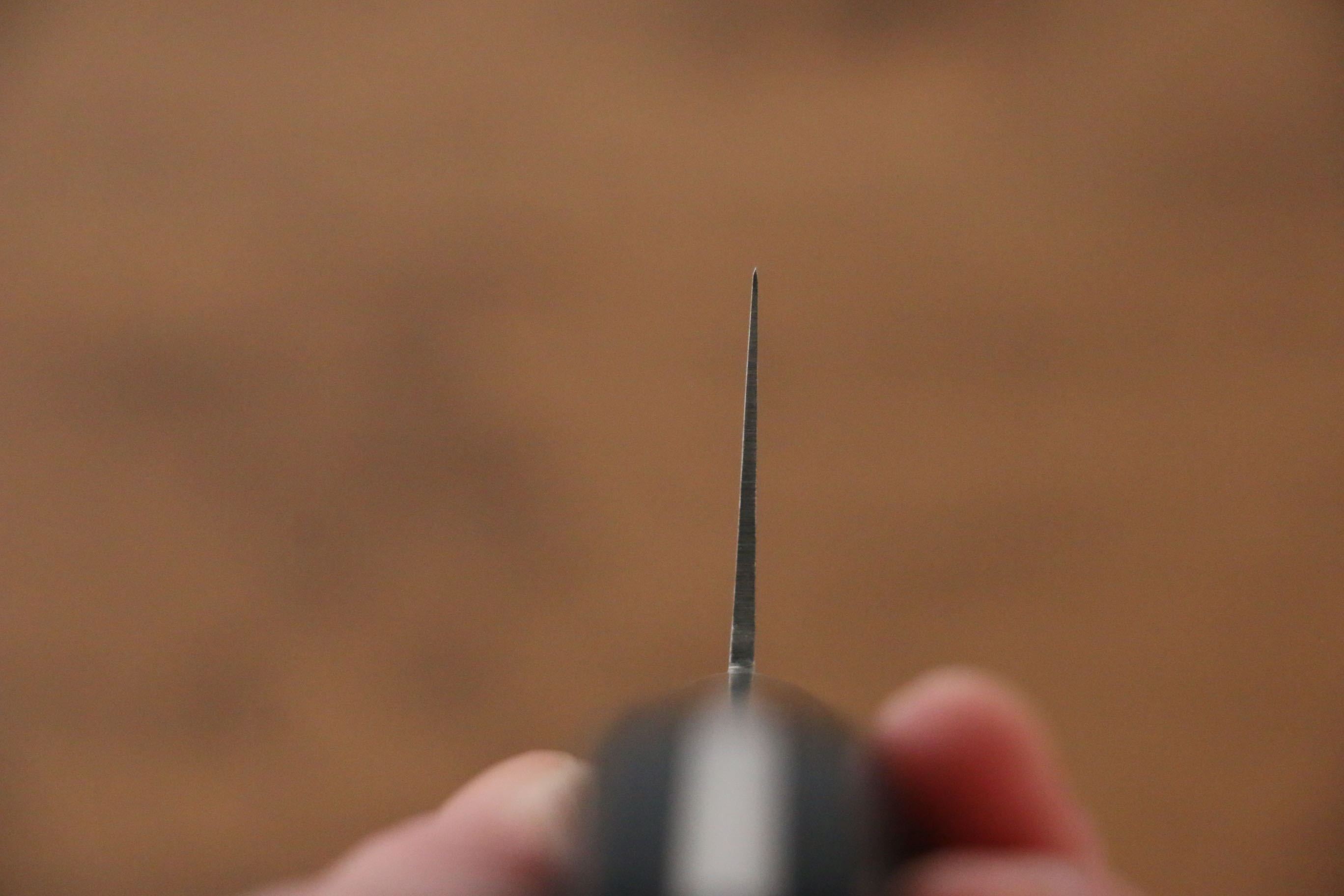 Iseya Molybdenum Gyuto 210mm Black Pakka wood Handle - Japanny - Best Japanese Knife