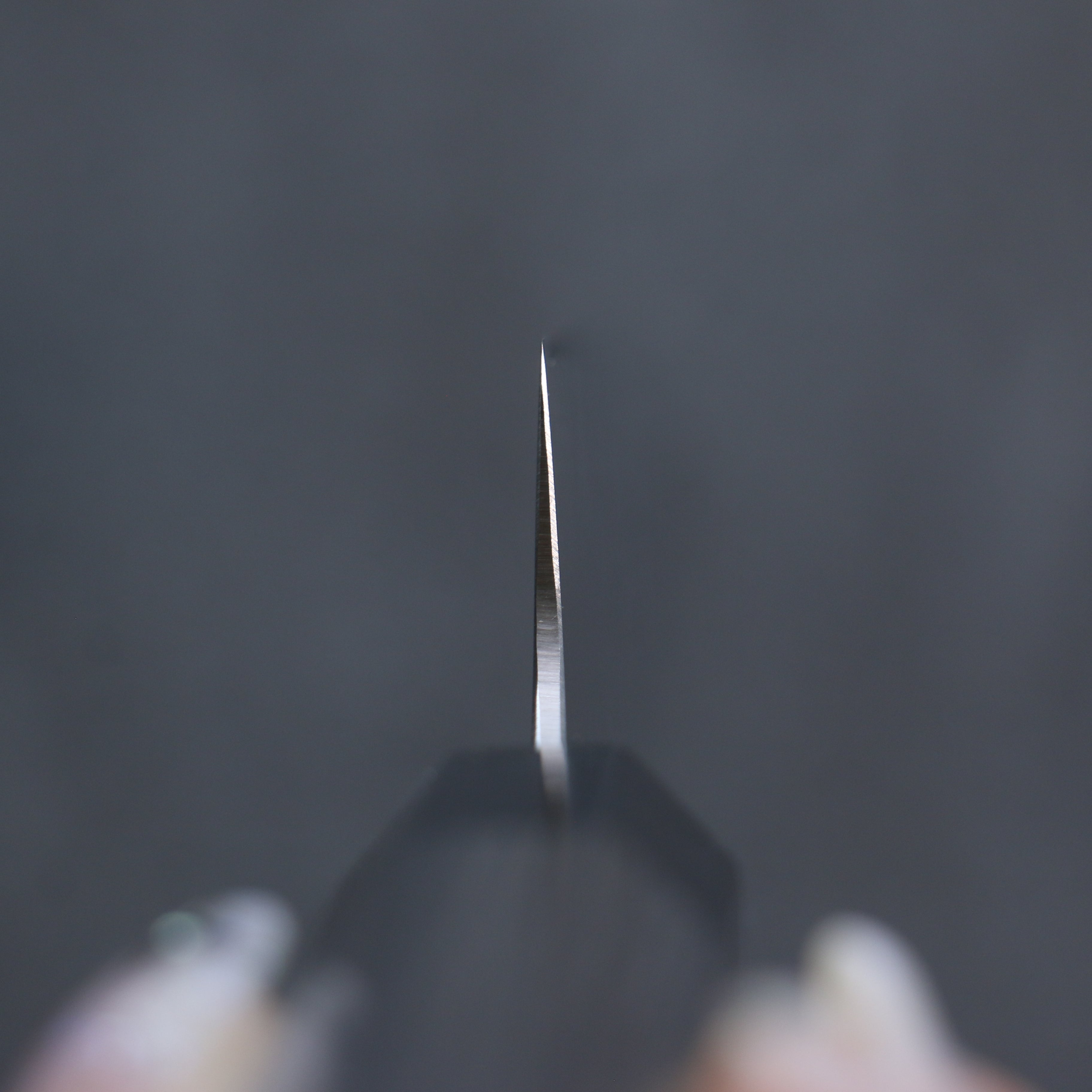 Seisuke Stainless Steel Bread Slicer 240mm Gray Pakka wood Handle - Japanny - Best Japanese Knife