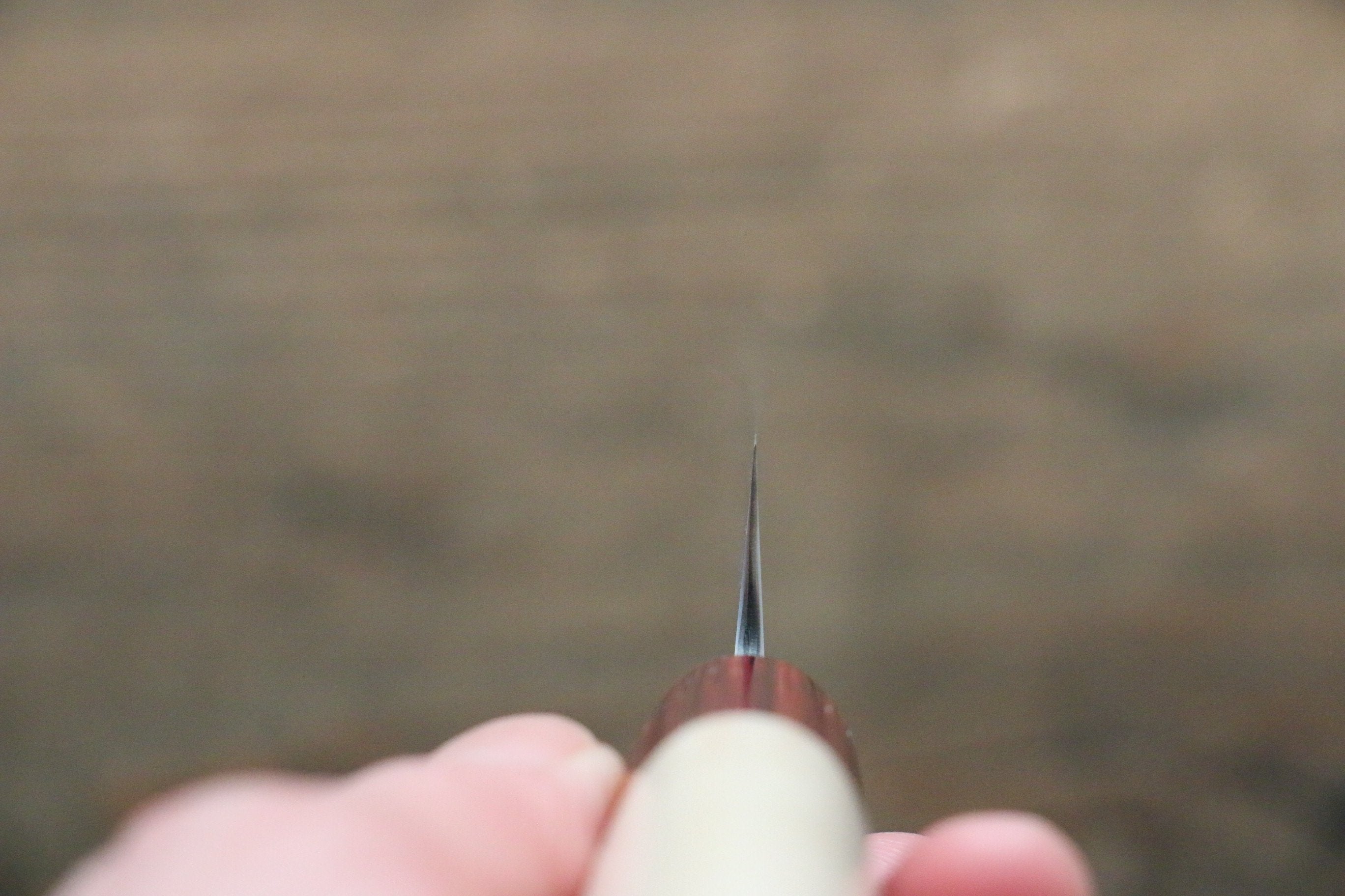 Seisuke VG10 16 Layer Hammered Damascus Petty-Utility 135mm with Magnolia Handle - Japanny - Best Japanese Knife