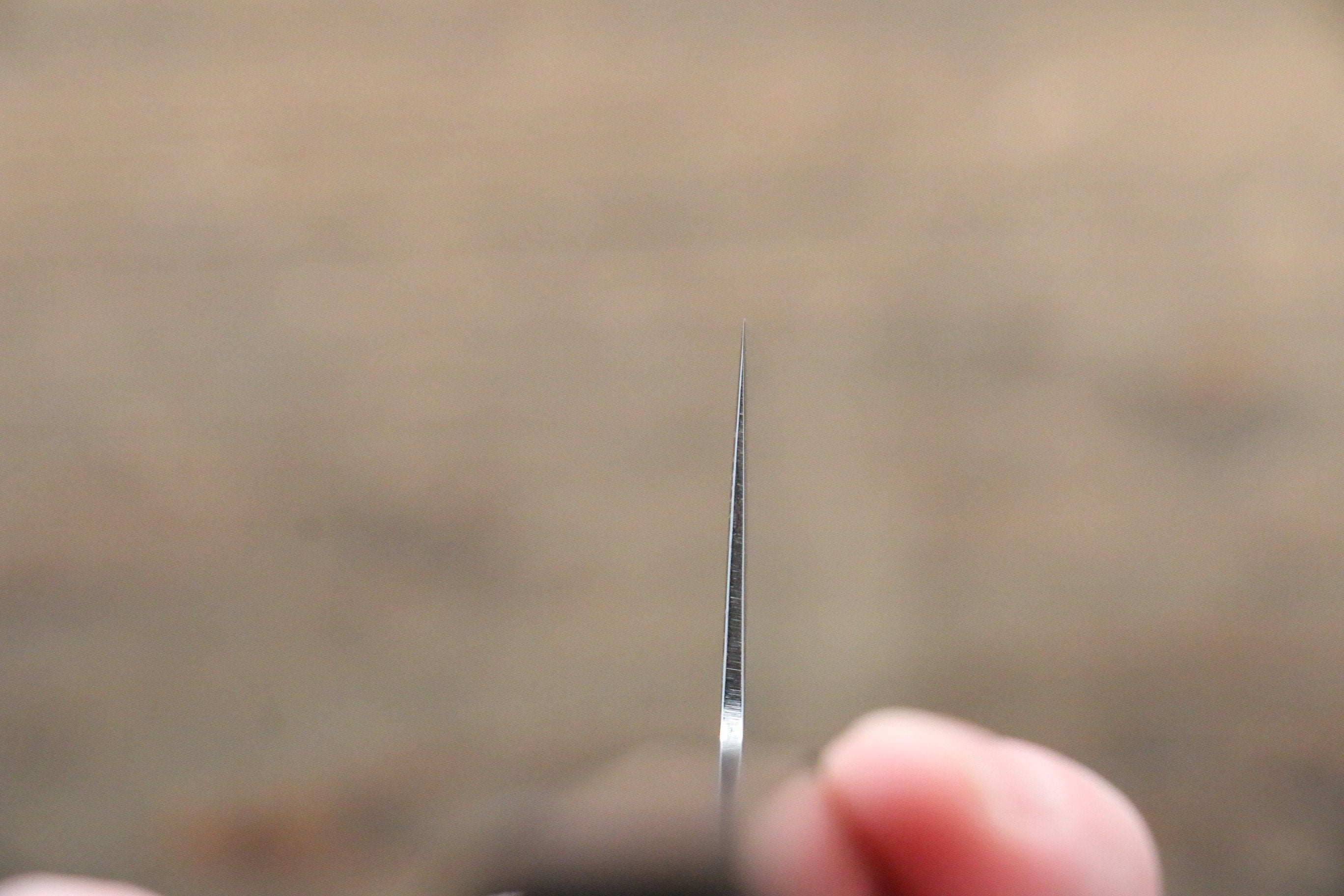 Seisuke AUS10 Damascus Gyuto 210mm Shitan Handle - Japanny - Best Japanese Knife