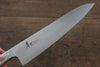 Sakai Takayuki INOX PRO Molybdenum Gyuto 240mm - Japanny - Best Japanese Knife