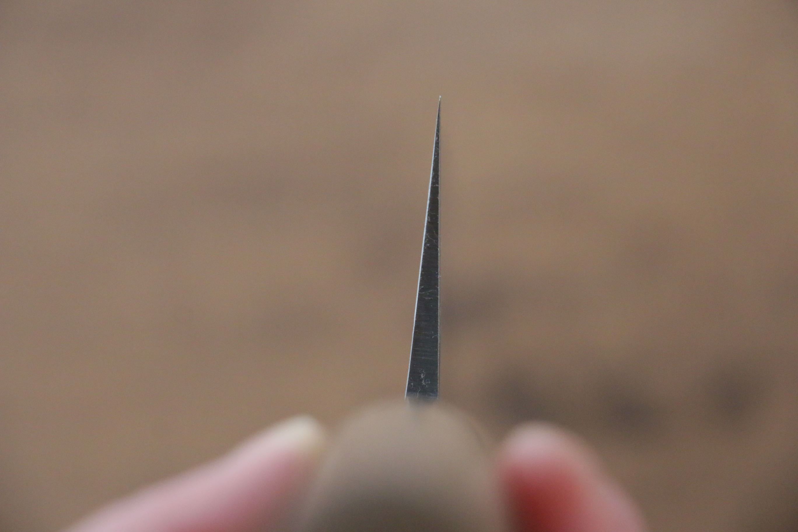 Seisuke Blue Steel No.2 Nashiji Gyuto 240mm Chestnut Handle - Japanny - Best Japanese Knife